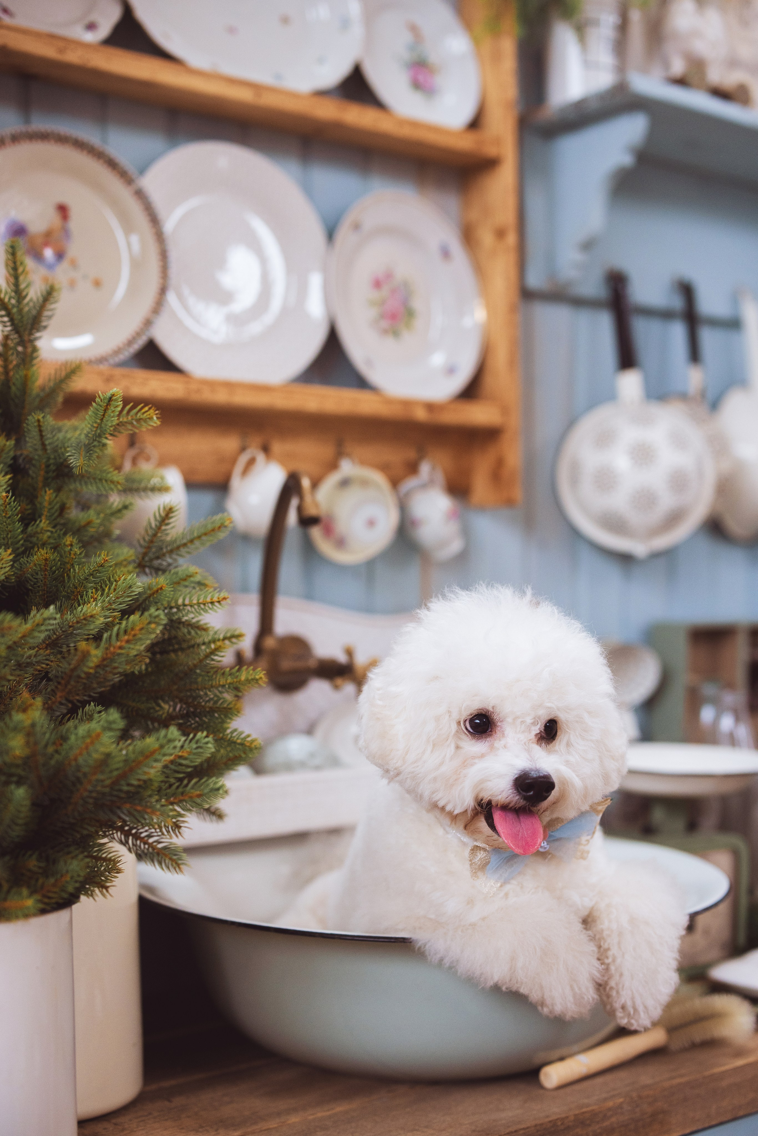 Новогодняя фотосессия в стиле Винтаж. Семейный и детский фотограф в Краснодаре Анна Трашкова