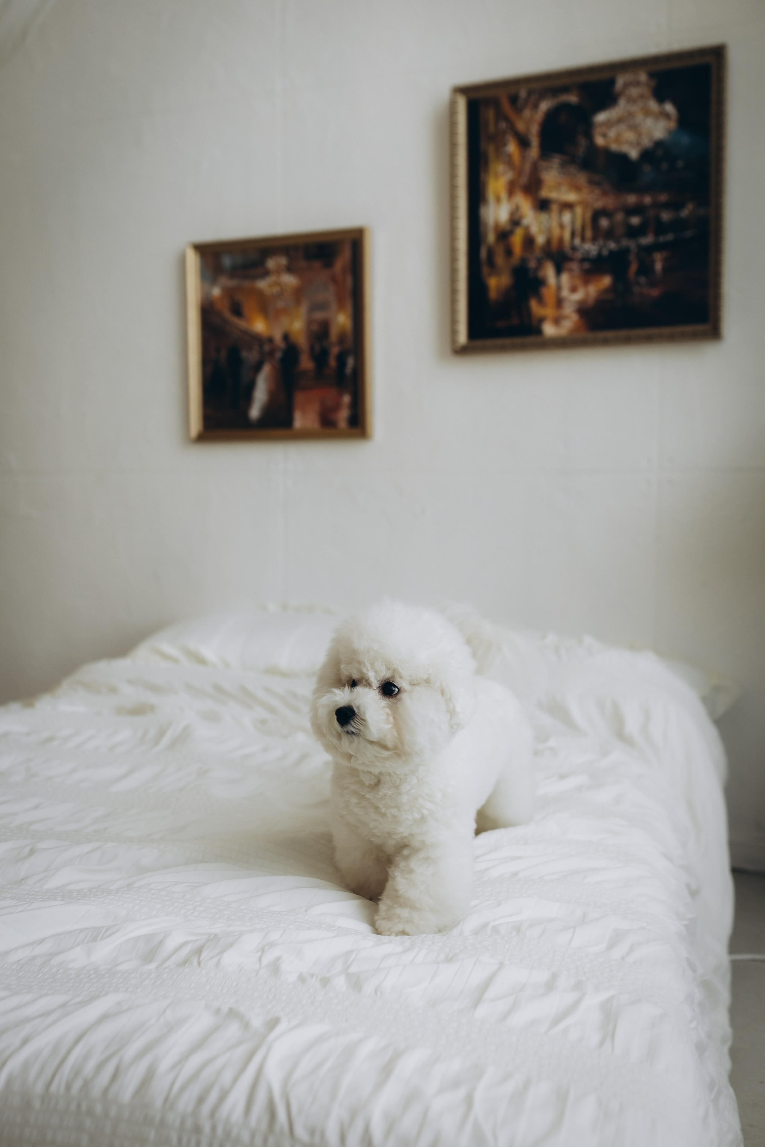 ❤️. Ph.nataluuna ФОТОГРАФ СЕРГИЕВ ПОСАД