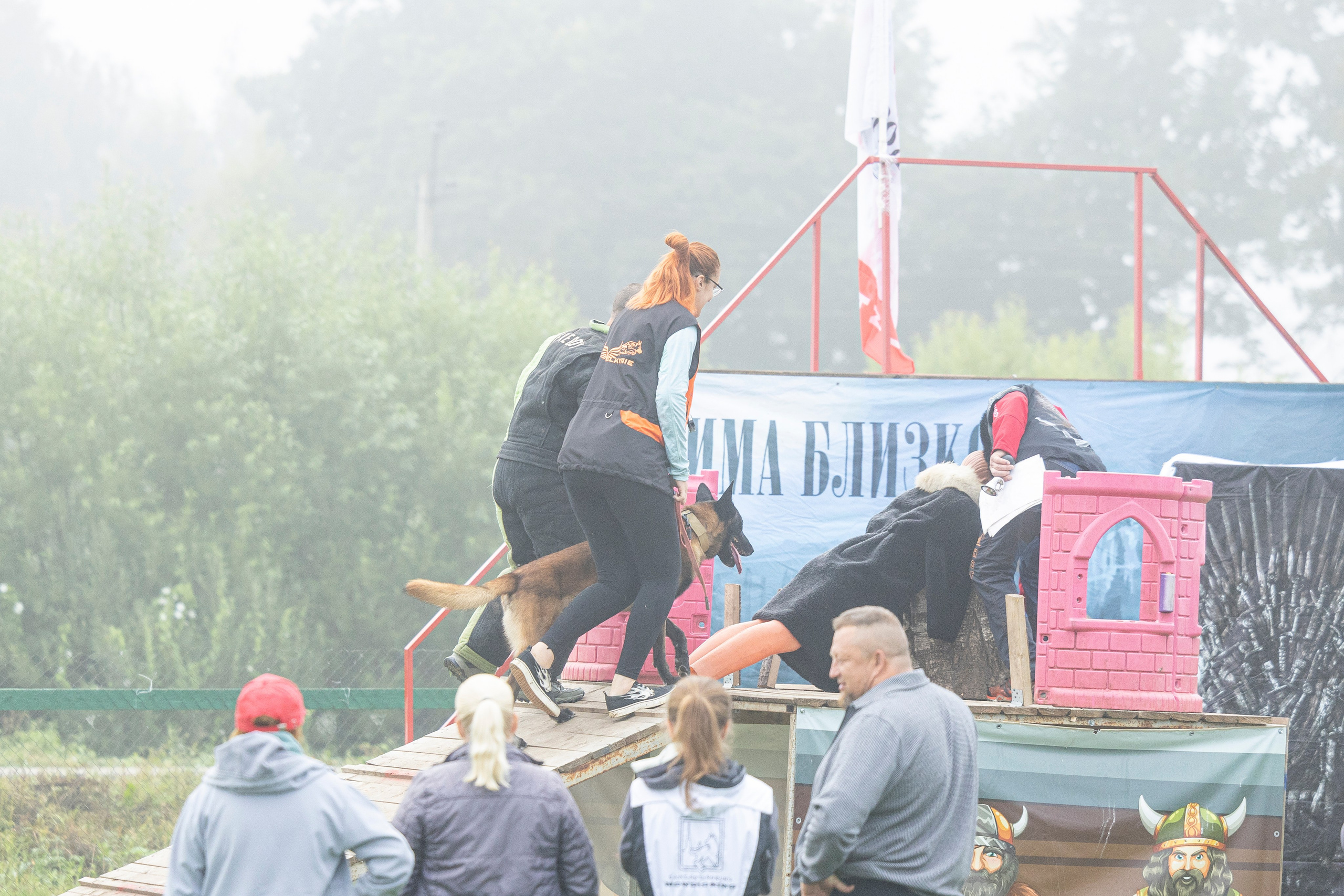 Соревнования по Мондьорингу г. Вологда 10-11.08.2024. Фотограф-анималист Анна Маринич