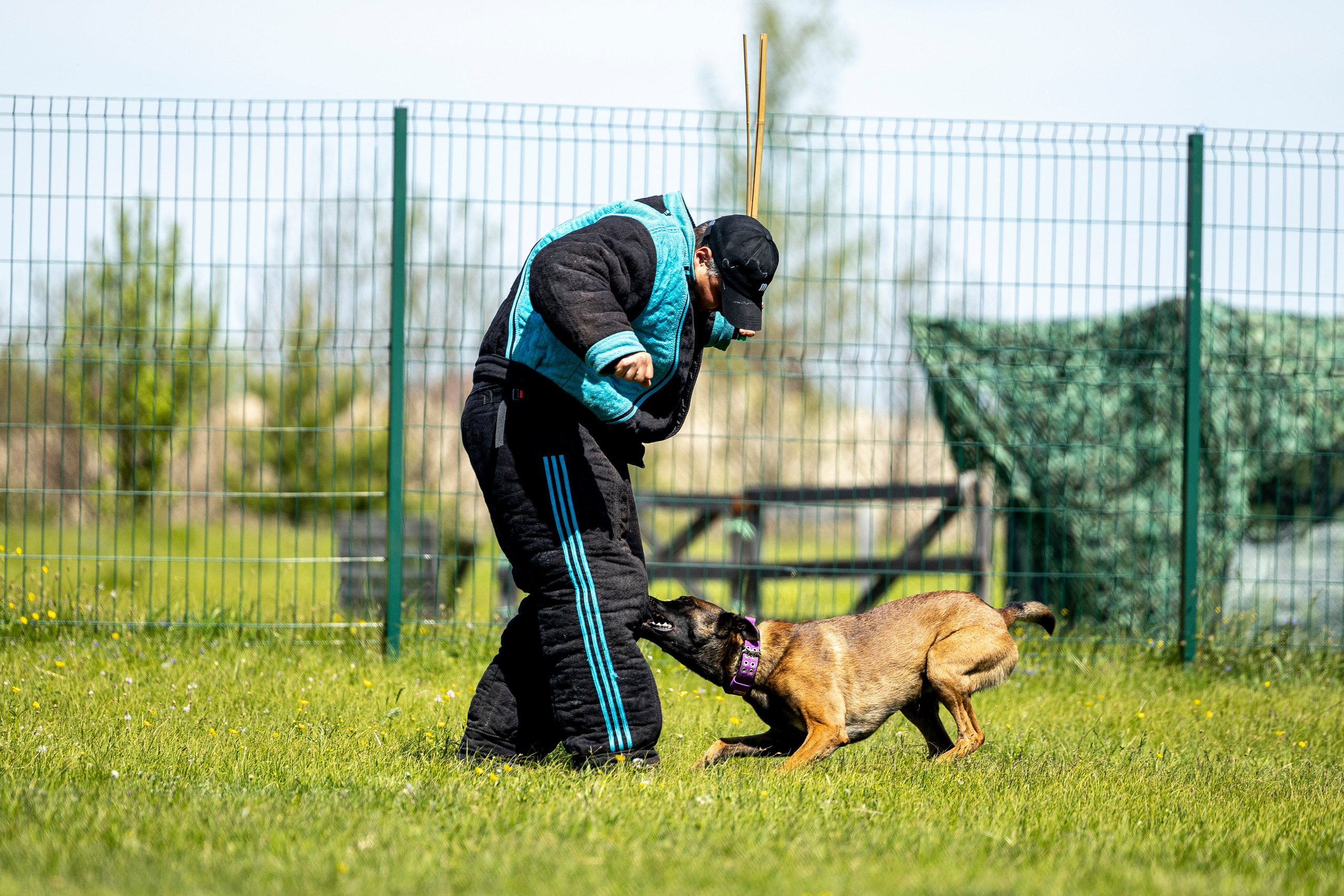 Испытания по мондьорингу в Нижнем Новгороде. Фотограф-анималист Анна Маринич