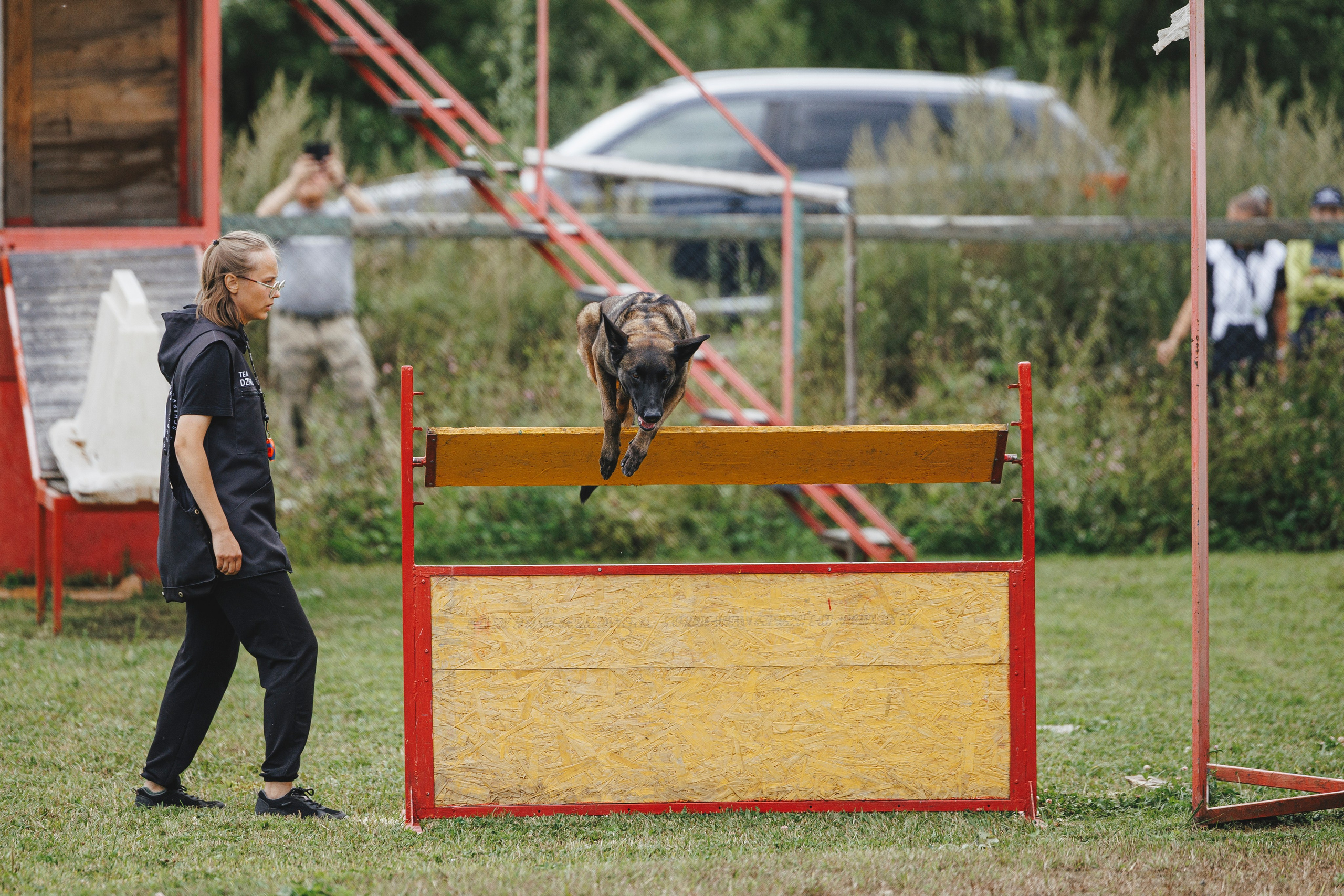08.08.25-10.08.25 ЧР по мондьорингу г. Вологда. Фотограф-анималист Анна Маринич