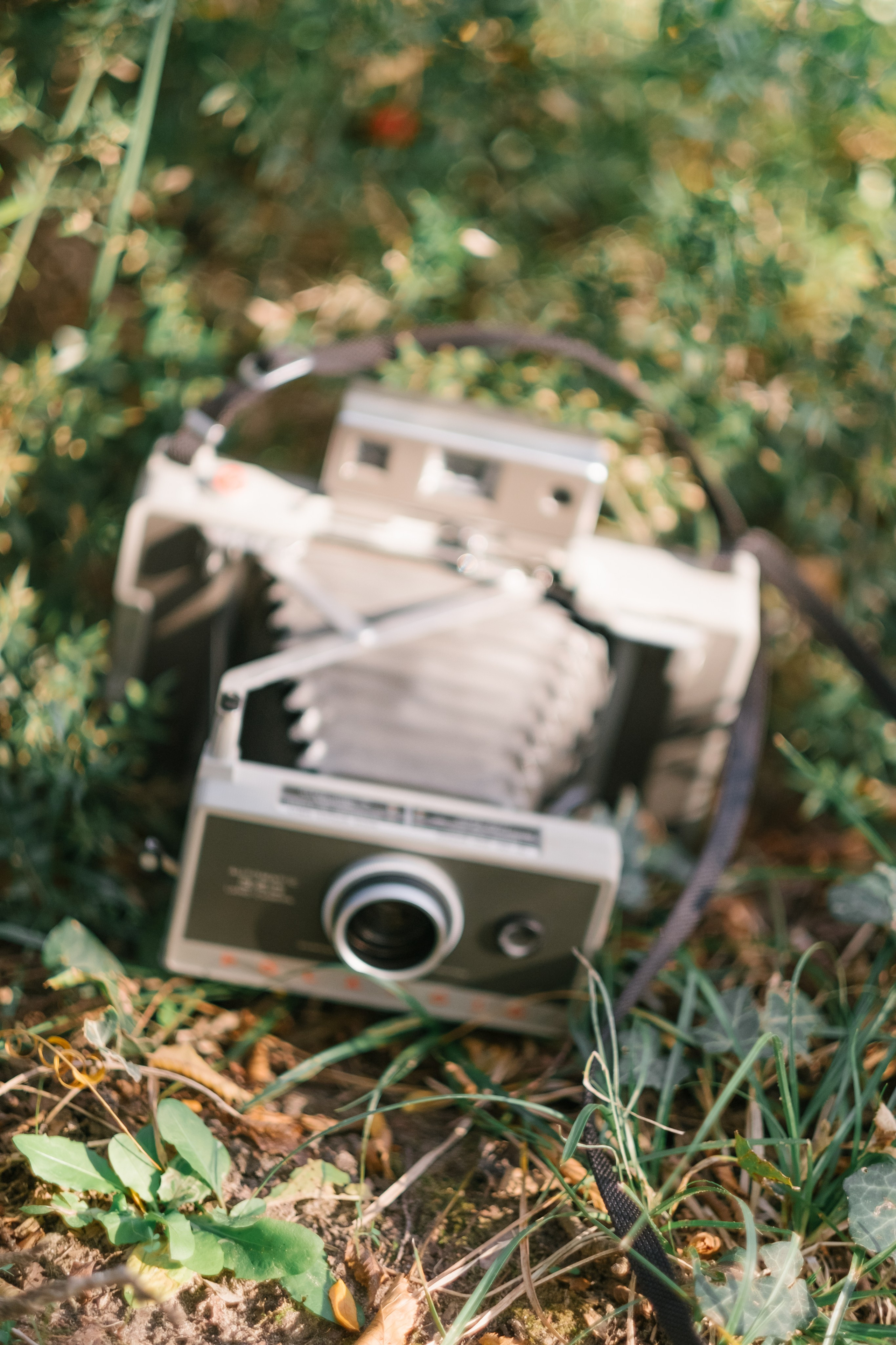 Туапсе. Свадебный Видеограф Фотограф в Сочи