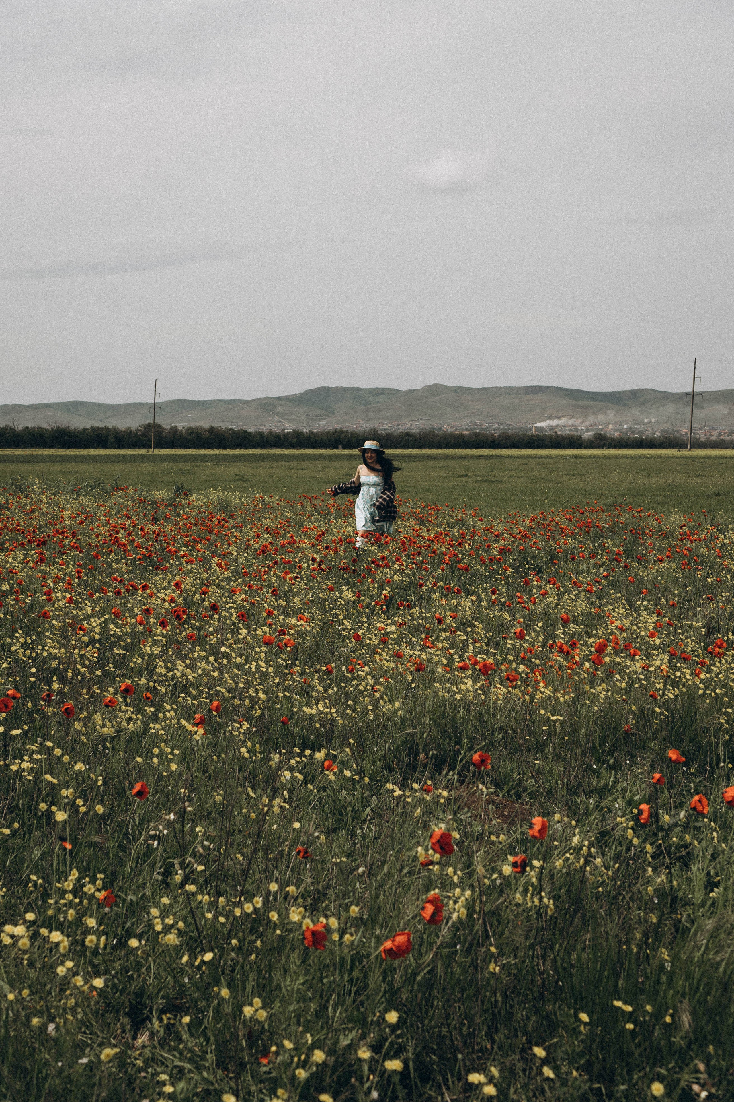 Цветочная поляна. Профессиональный фотограф, Санкт-Петербург — Виктория Богомолова