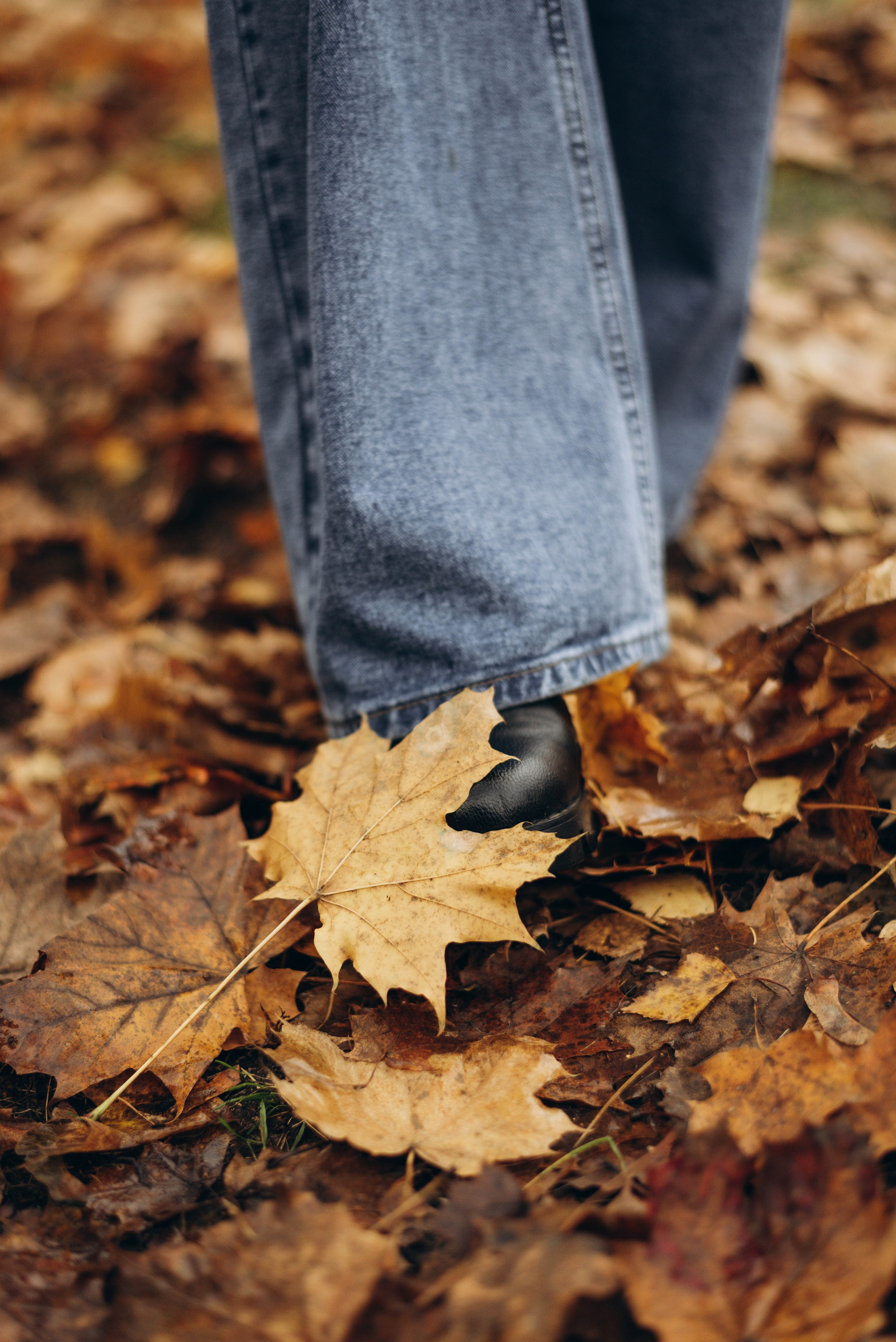 Прогулочная фотоссесия для девушки в парке. Семейный фотограф в Железнодорожном Масаева Елена