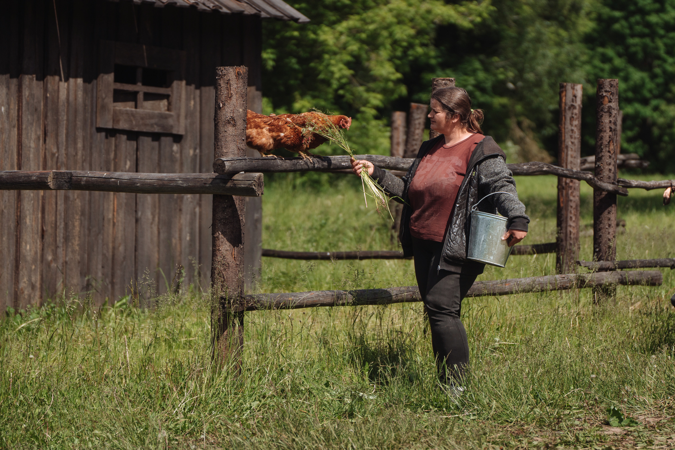 Galibri & Mavik — Стивен Сигал