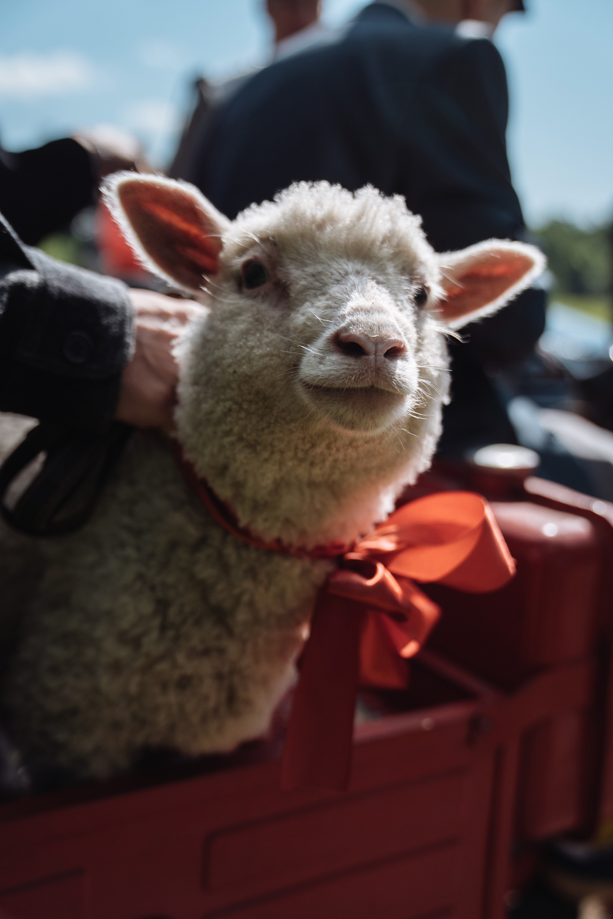 Galibri & Mavik — Стивен Сигал