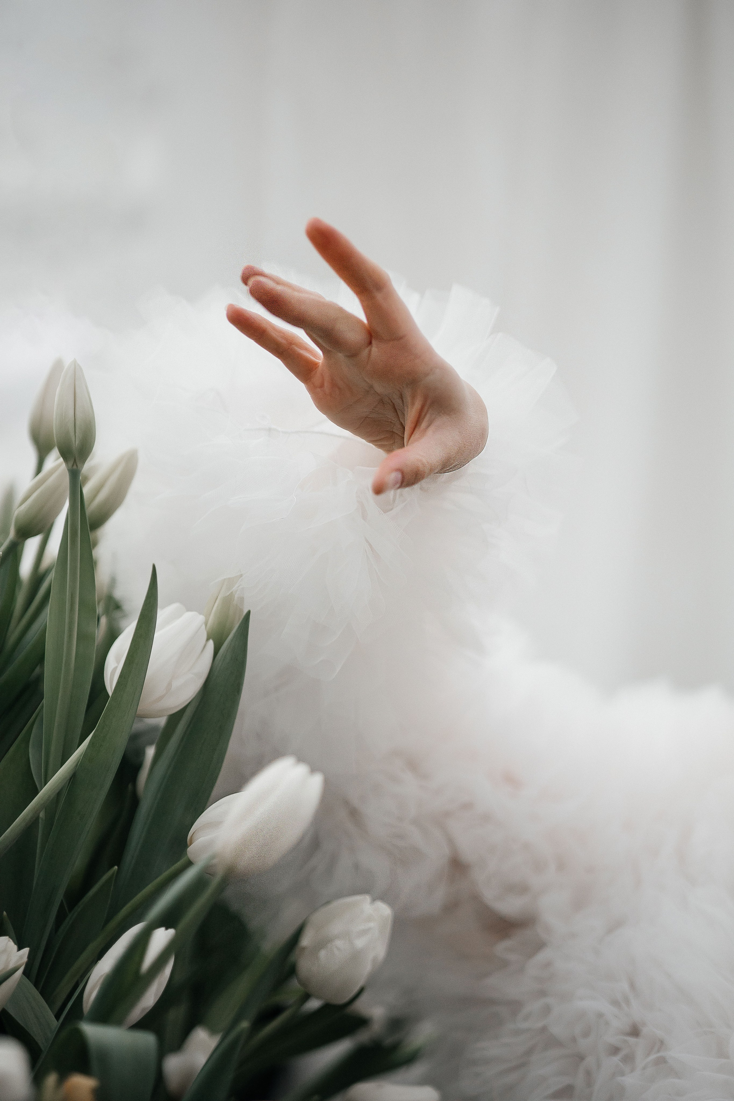 Тюльпаны. Фотограф в Севастополе — Евгения Бойко