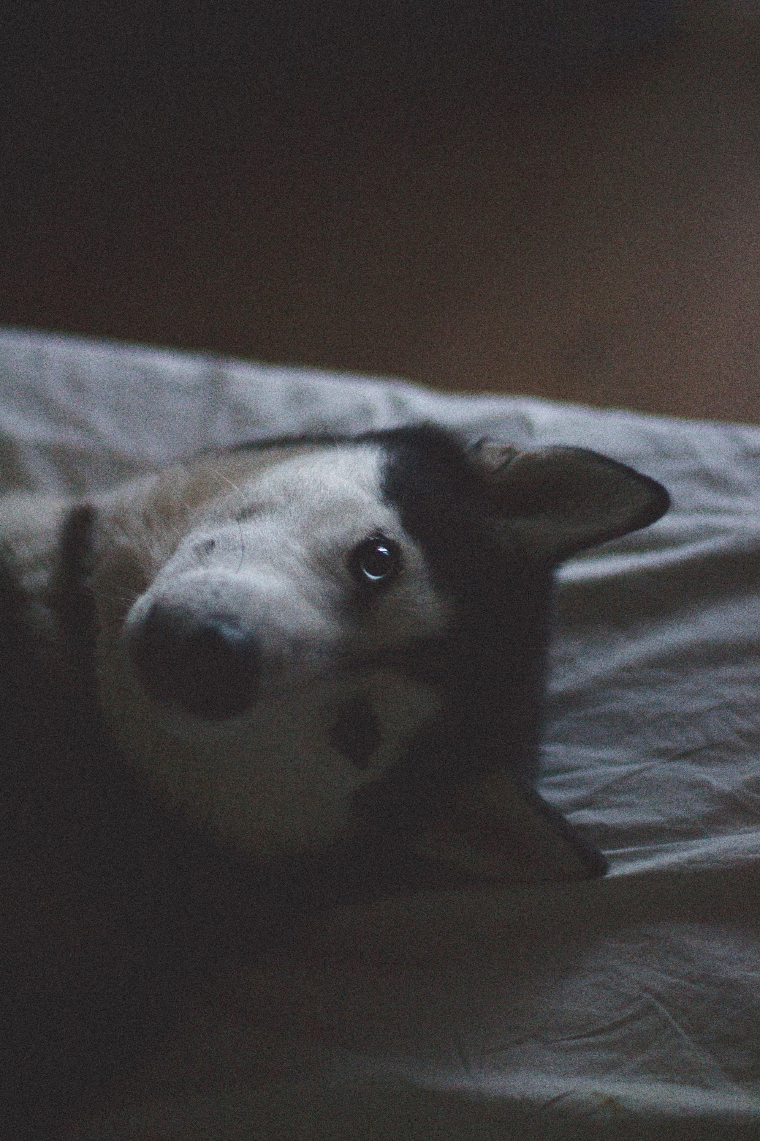 Марта. Фотограф Адигамова Юлия в Петербурге