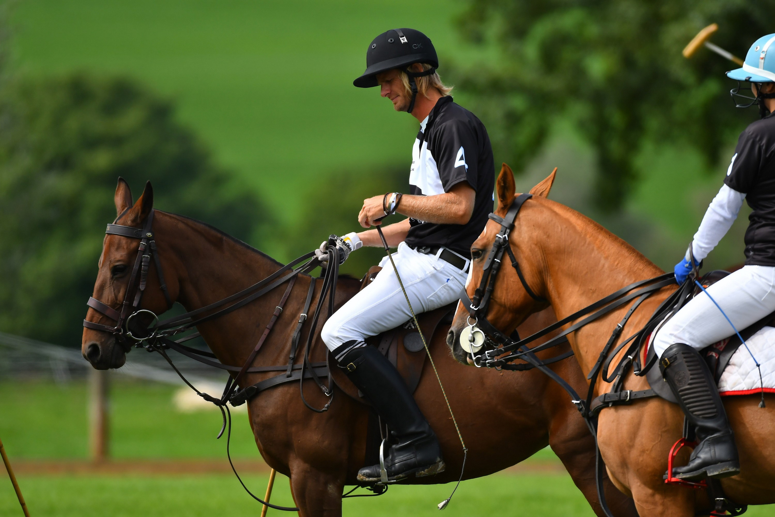 Polo art photos. Art photos of horses — ARTUR BABOEV | Photographer