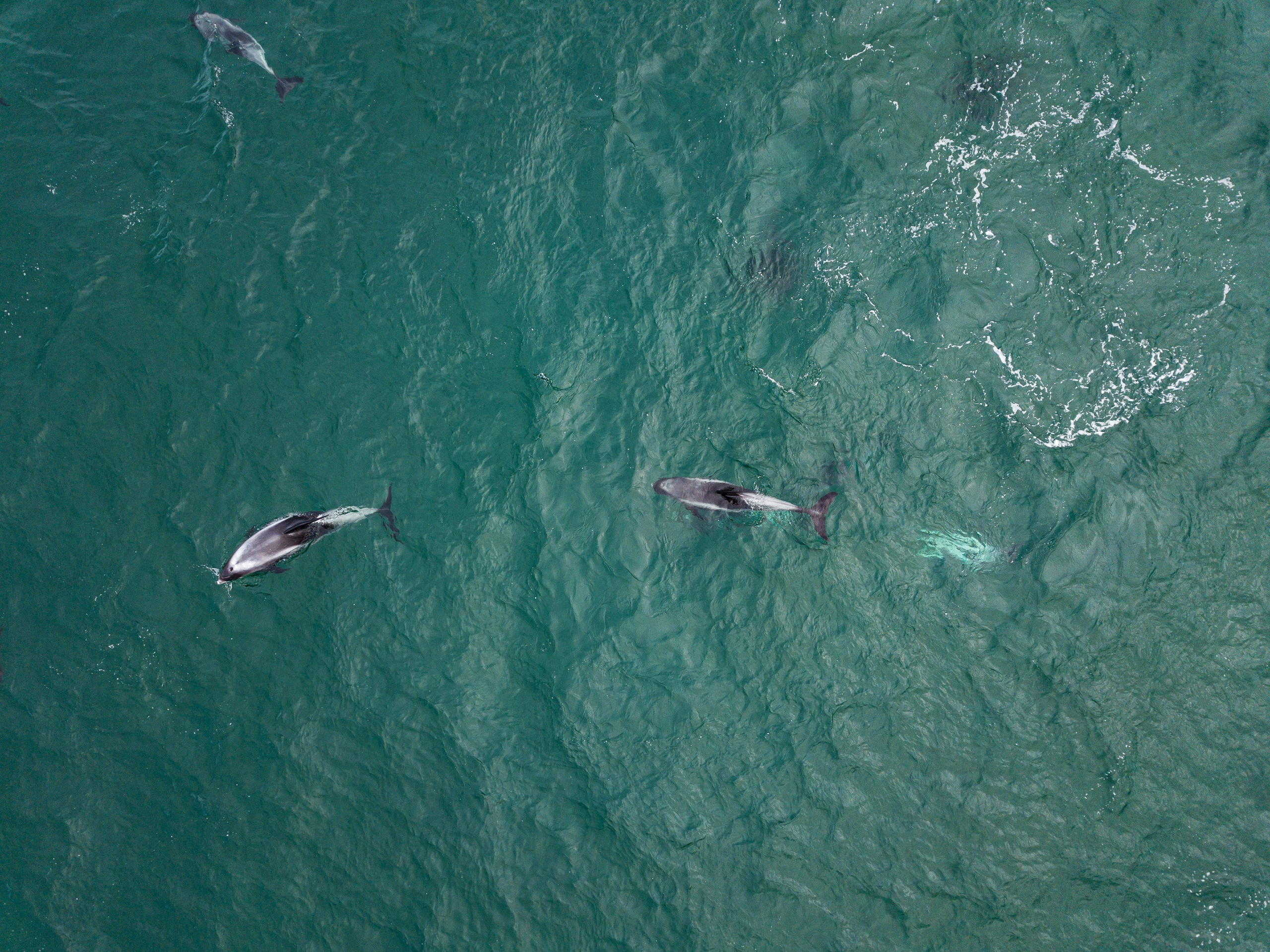 Норвегия. Добродеева Алла фотограф, Москва
