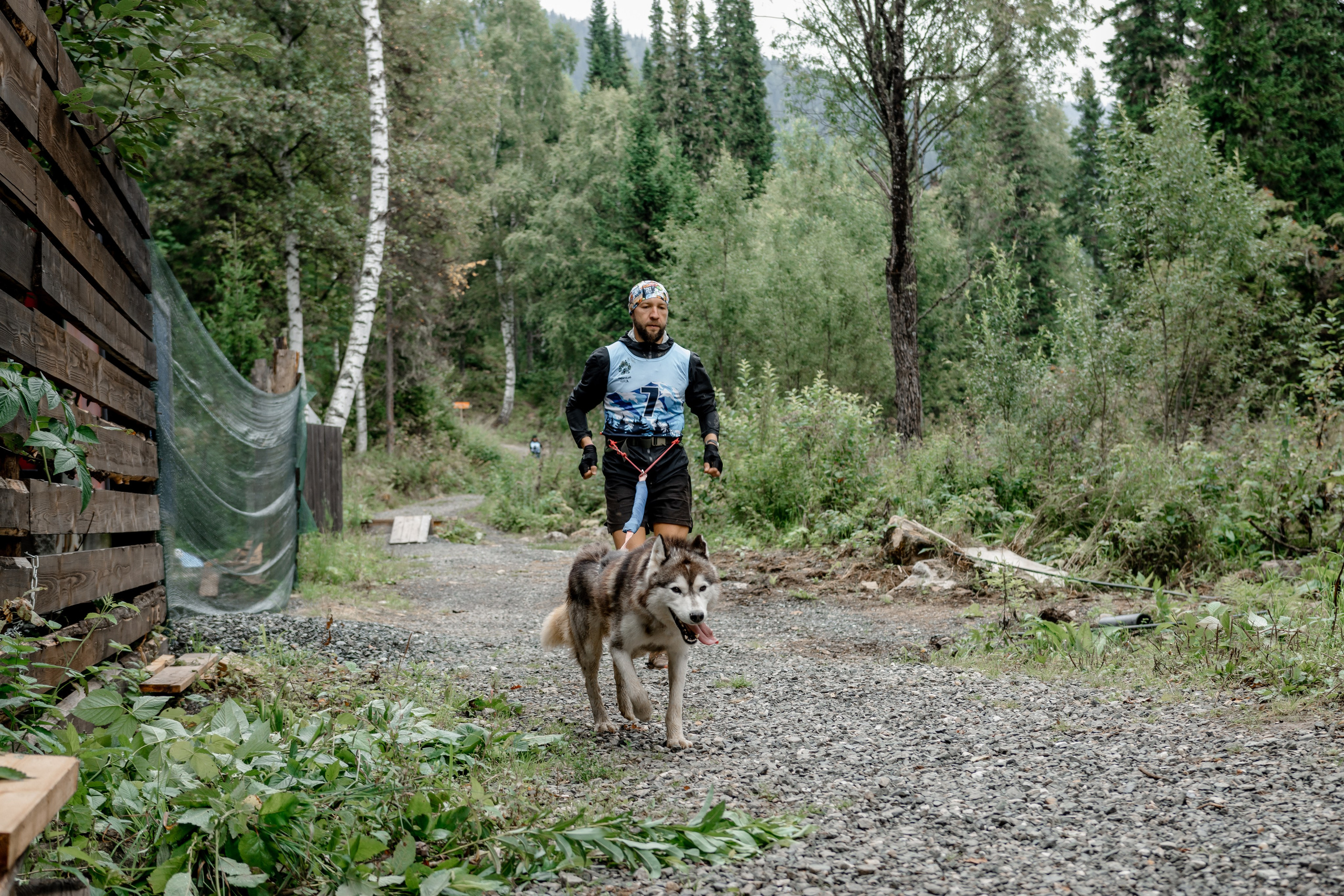 Дог-треккинг