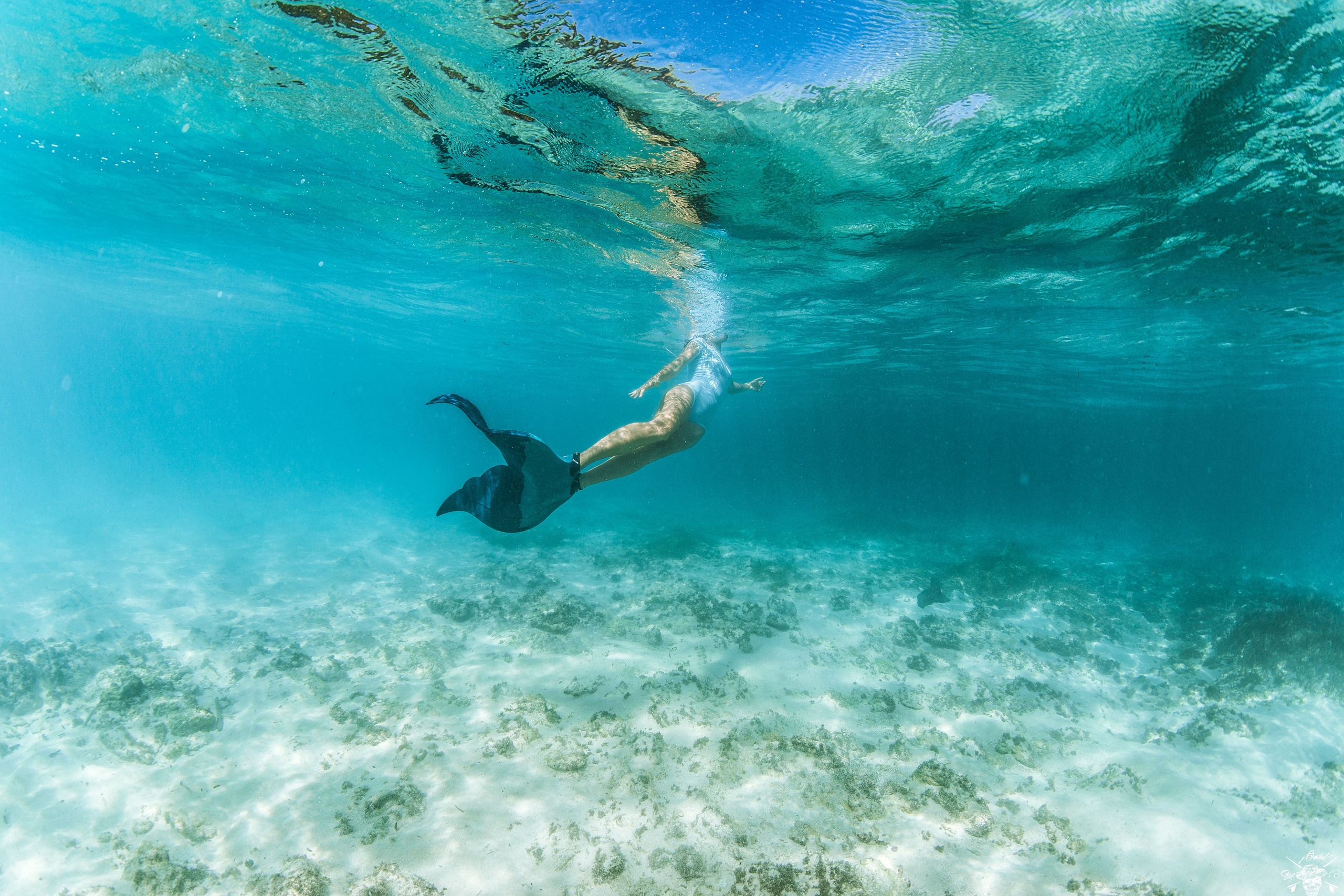 Underwater Photos. Лайфстайл Фотограф и Профессиональный Водный Фотограф в Москве