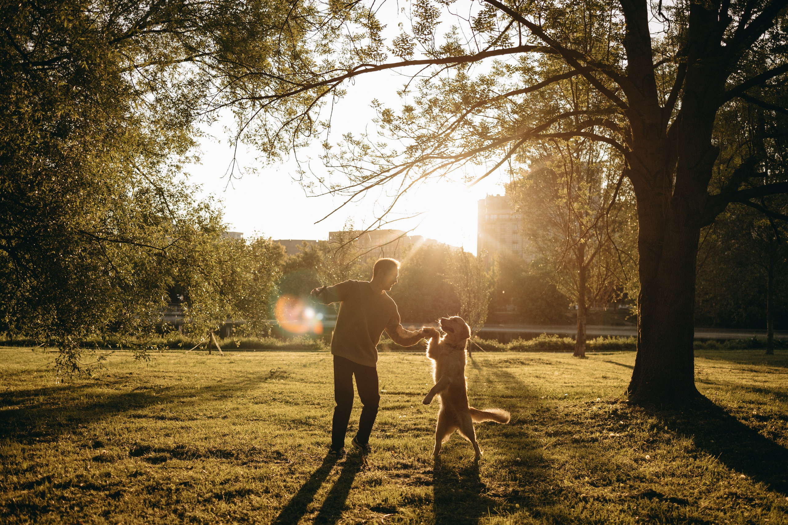 Пенни и ребята. Фотограф — Анималист | Санкт-Петербург