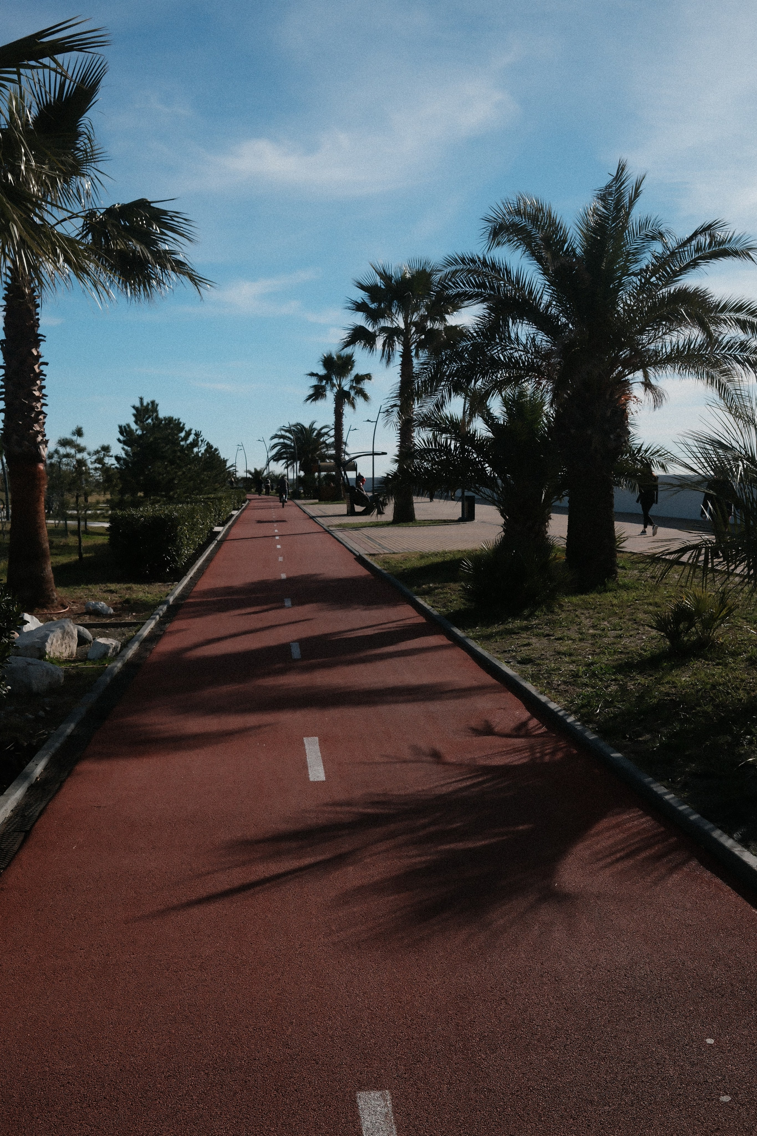 Фотографии зимнего Адлера. Алексей Торопов фотограф