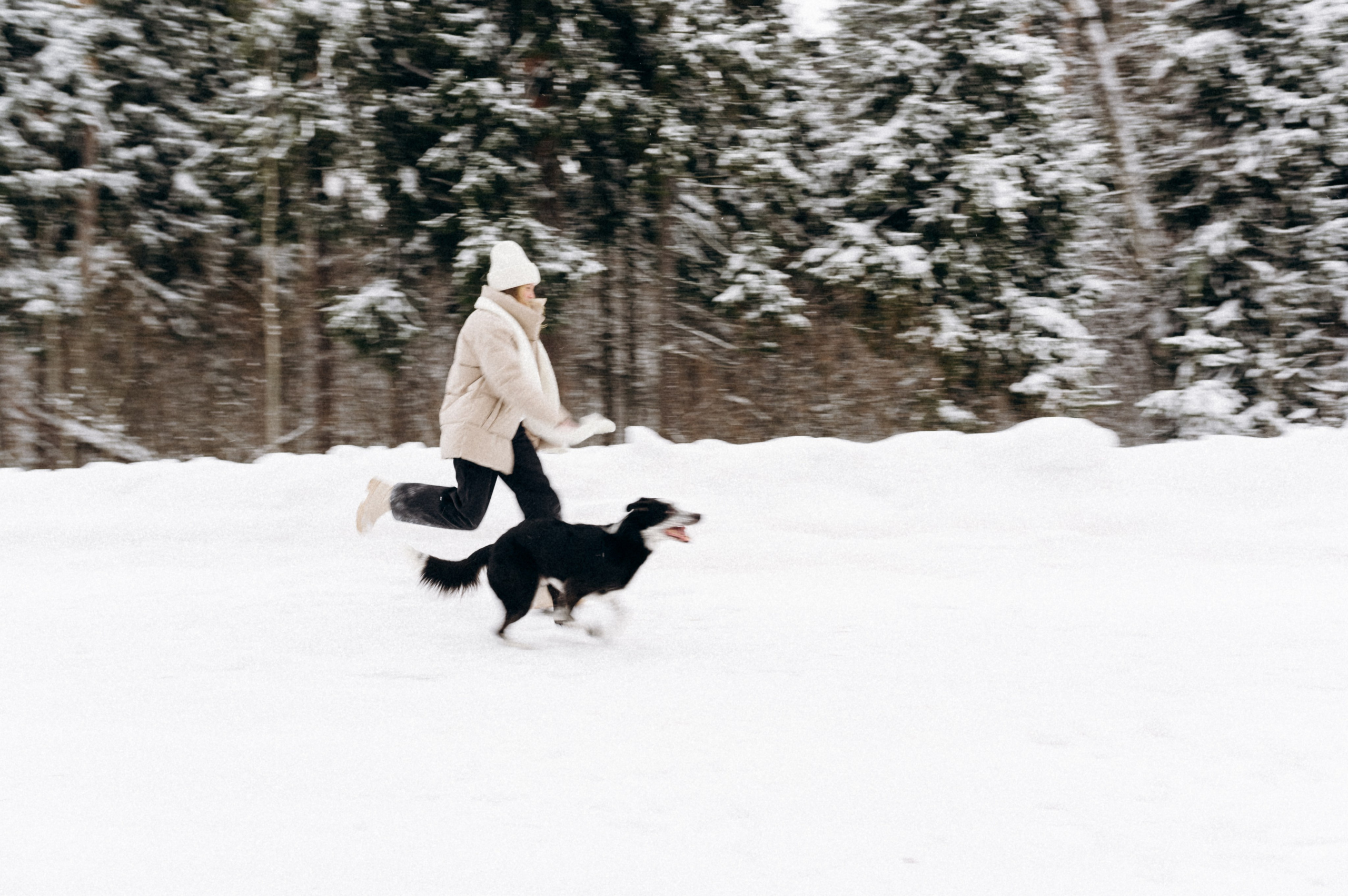 Аня и Милан. Фотограф анималист в Москве Ольга Агушева