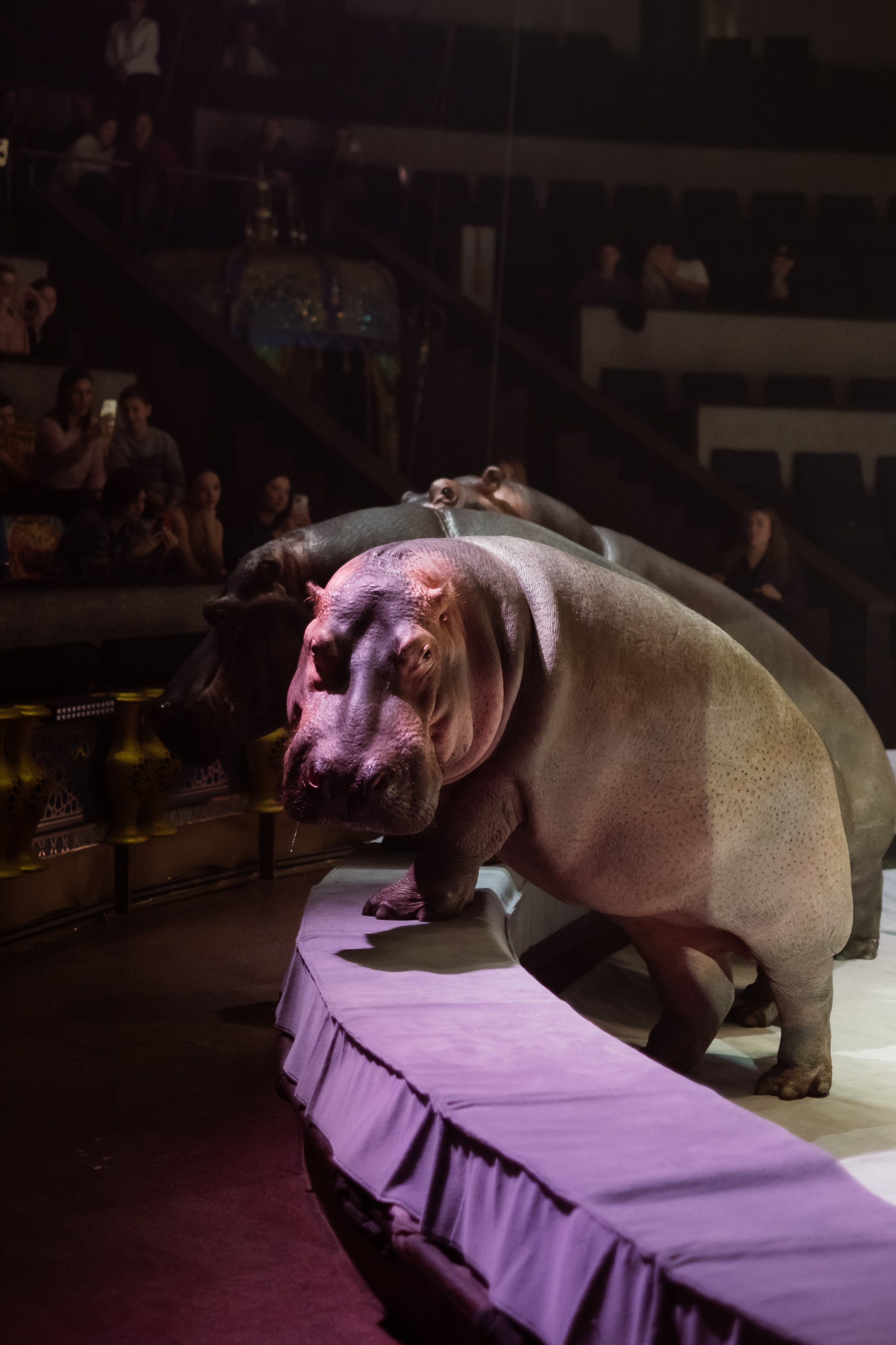 Репортаж. Фотограф Новосибирск Анна Рождественская
