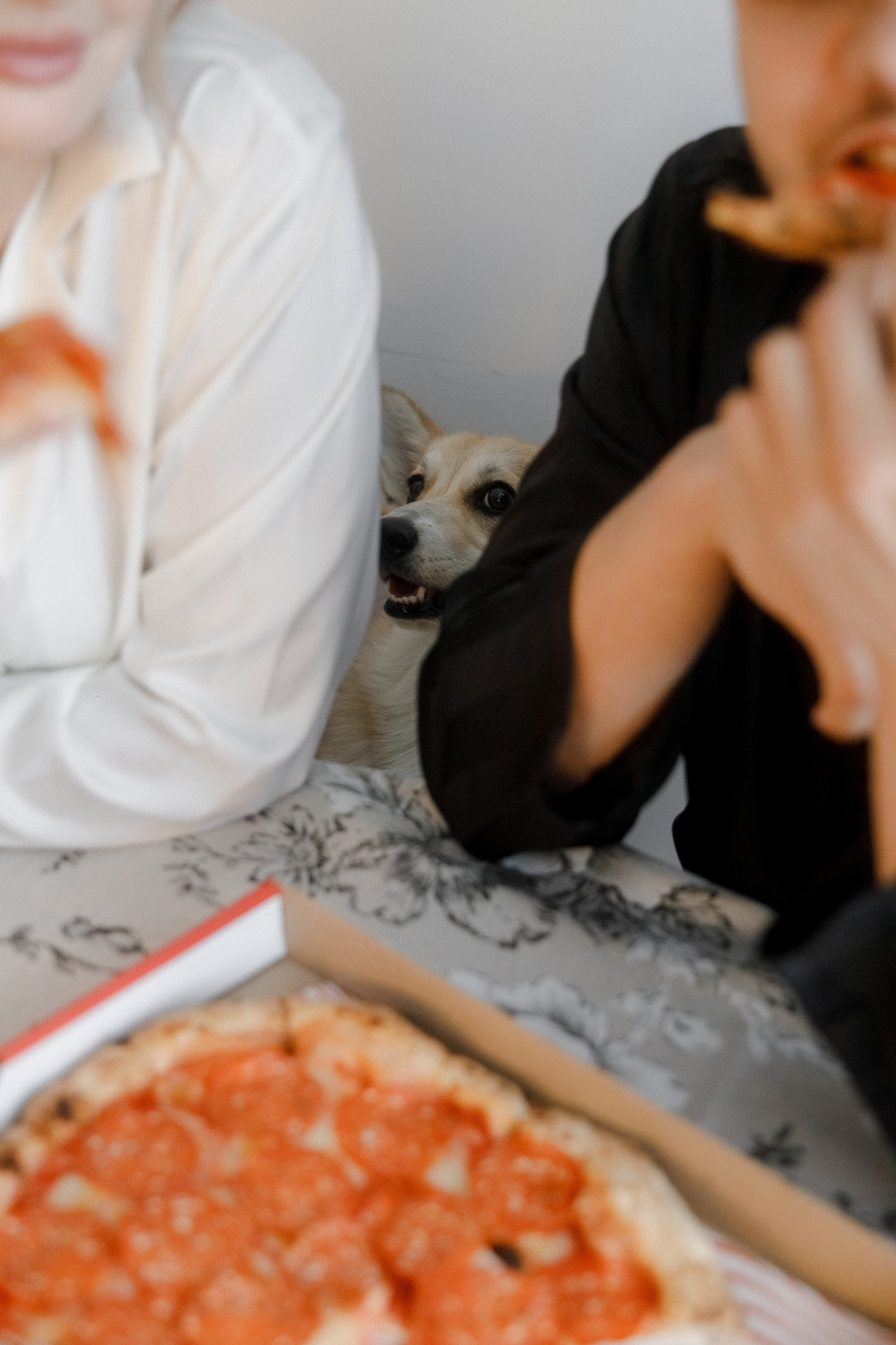 Sergey & Veronika | Сборы. Свадебный фотограф Костанай/Астана