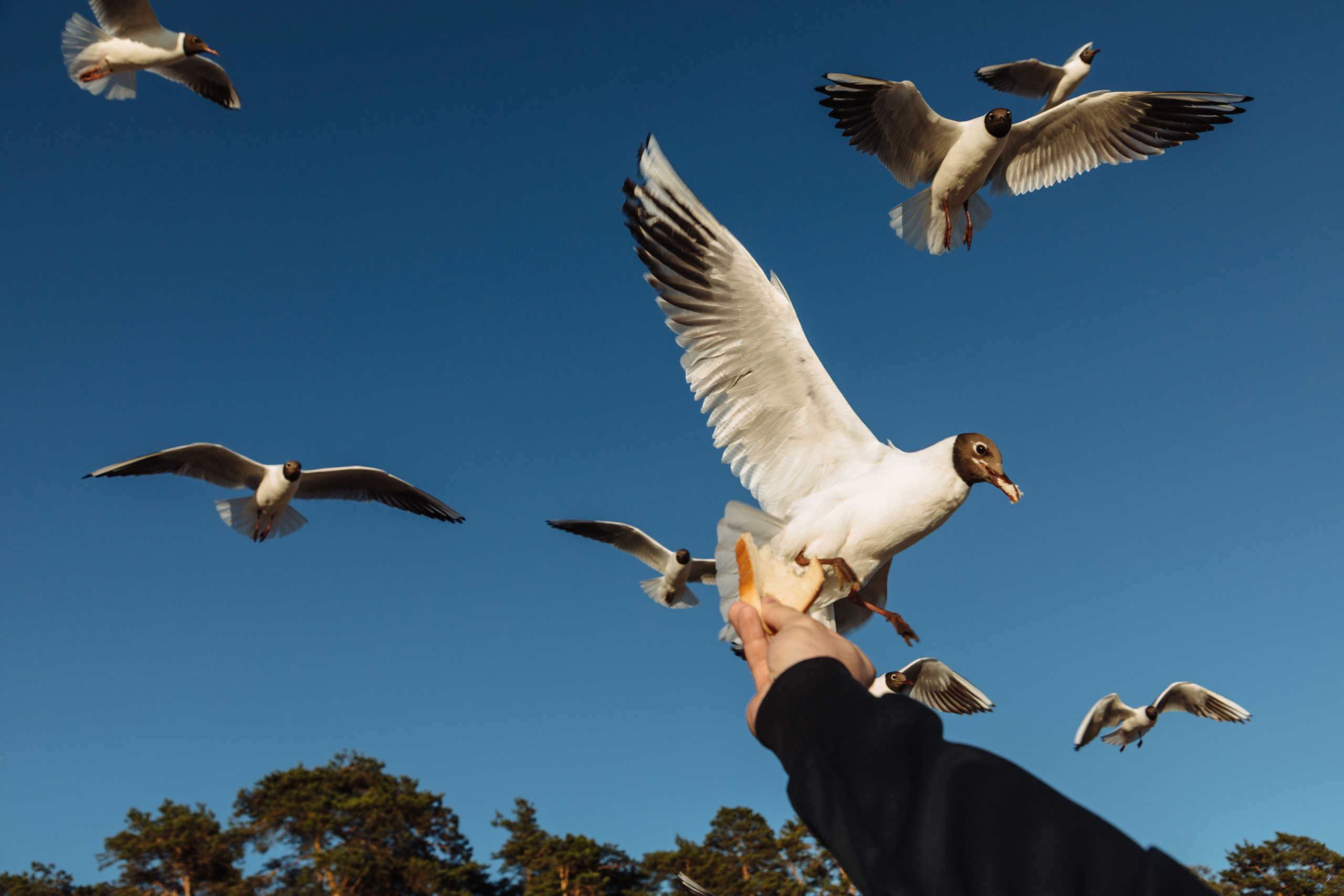 Анна и Антон. Свадебный фотограф в Санкт-Петербурге Анастасия Андреева