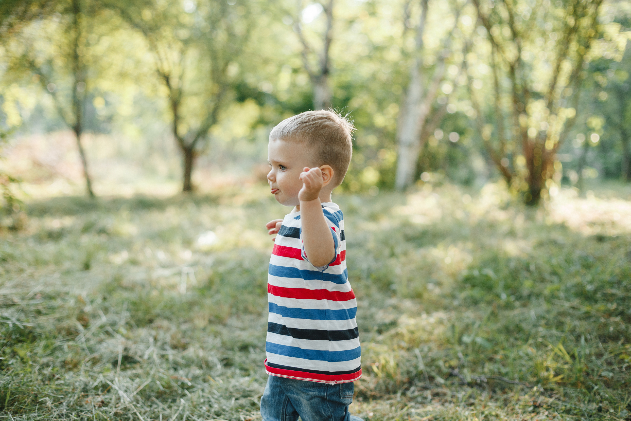 Вот оно какое наше лето. Евгения Орлова