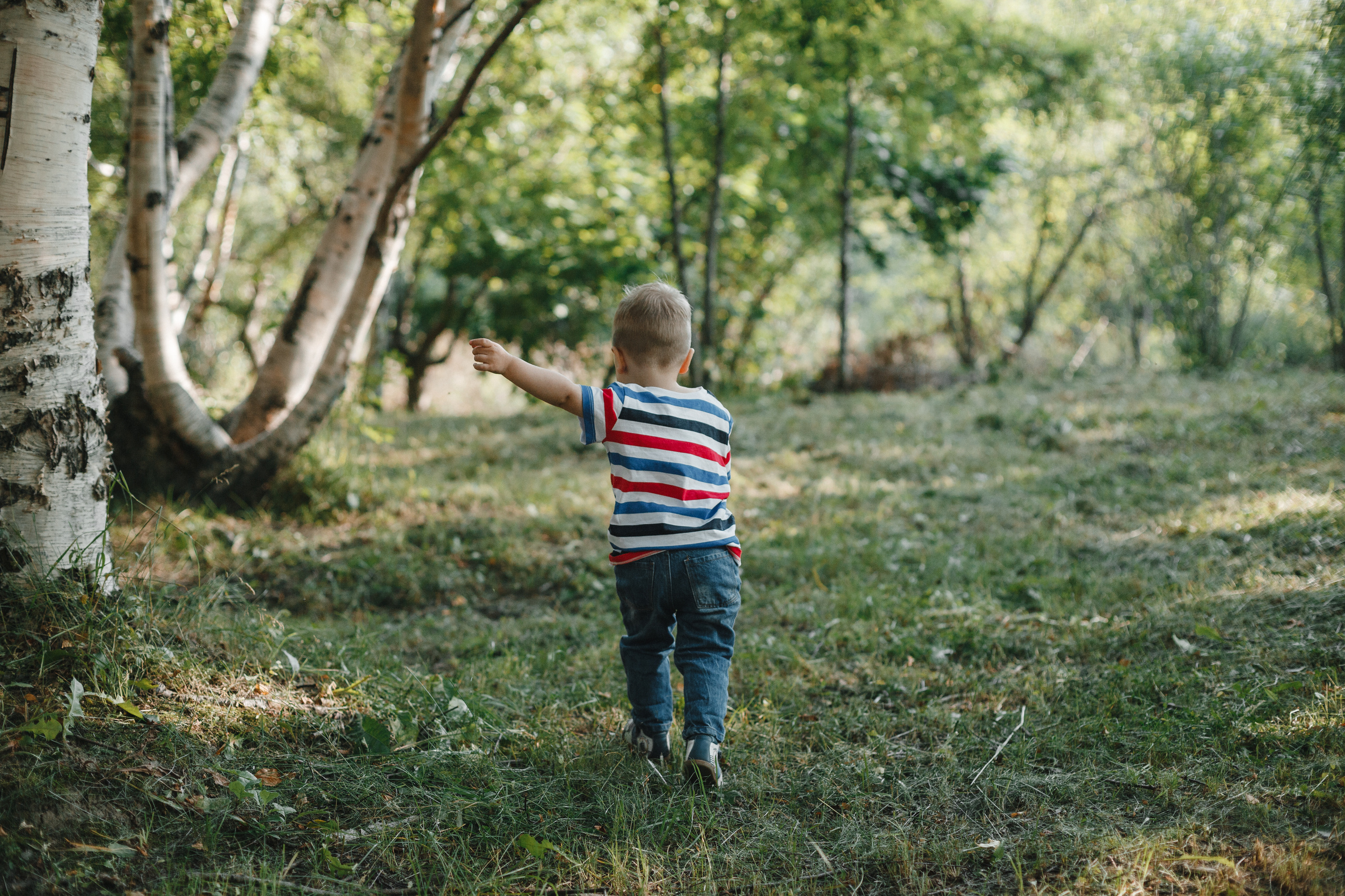 Вот оно какое наше лето. Евгения Орлова