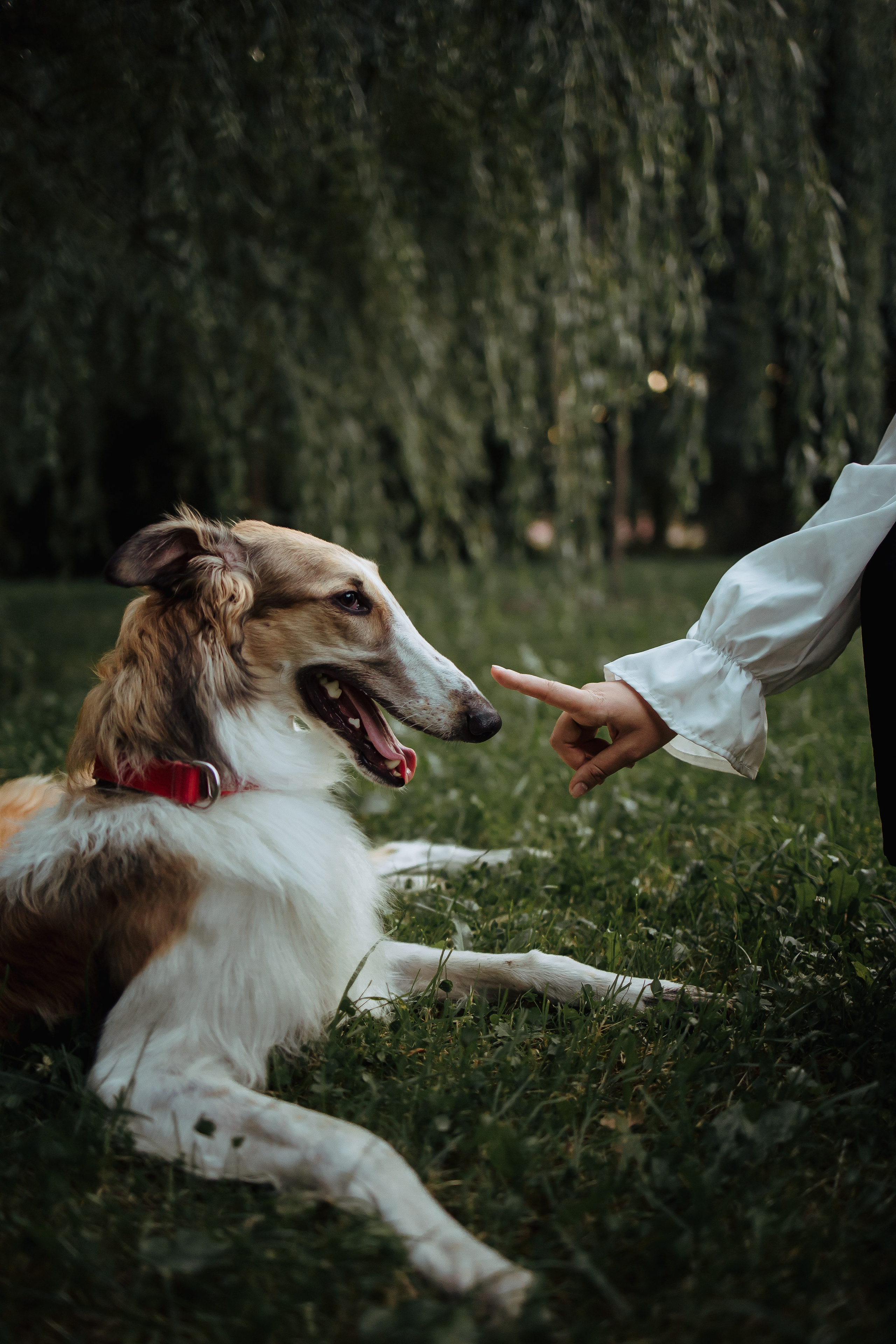 Тима & Киса. Семейный и Свадебный фотограф в Санкт-Петербурге Плохая Екатерина