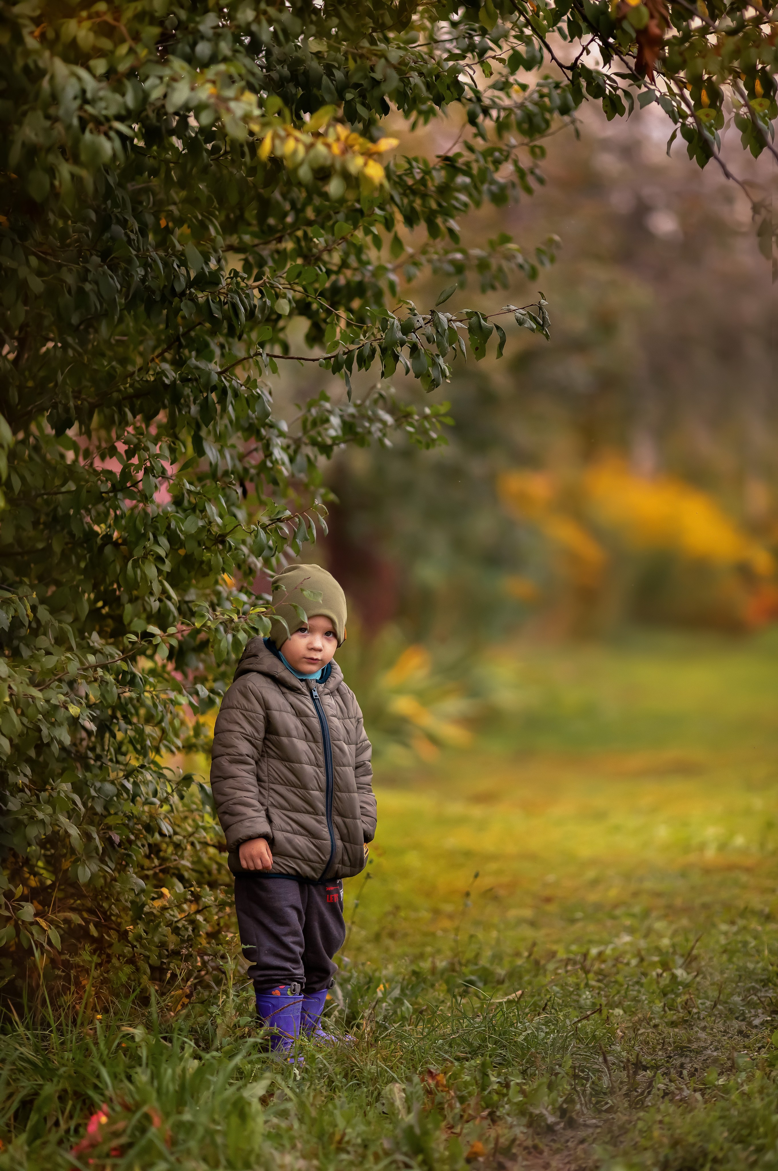 Осень в дерене. Ольга Смирнова юрист, фотограф