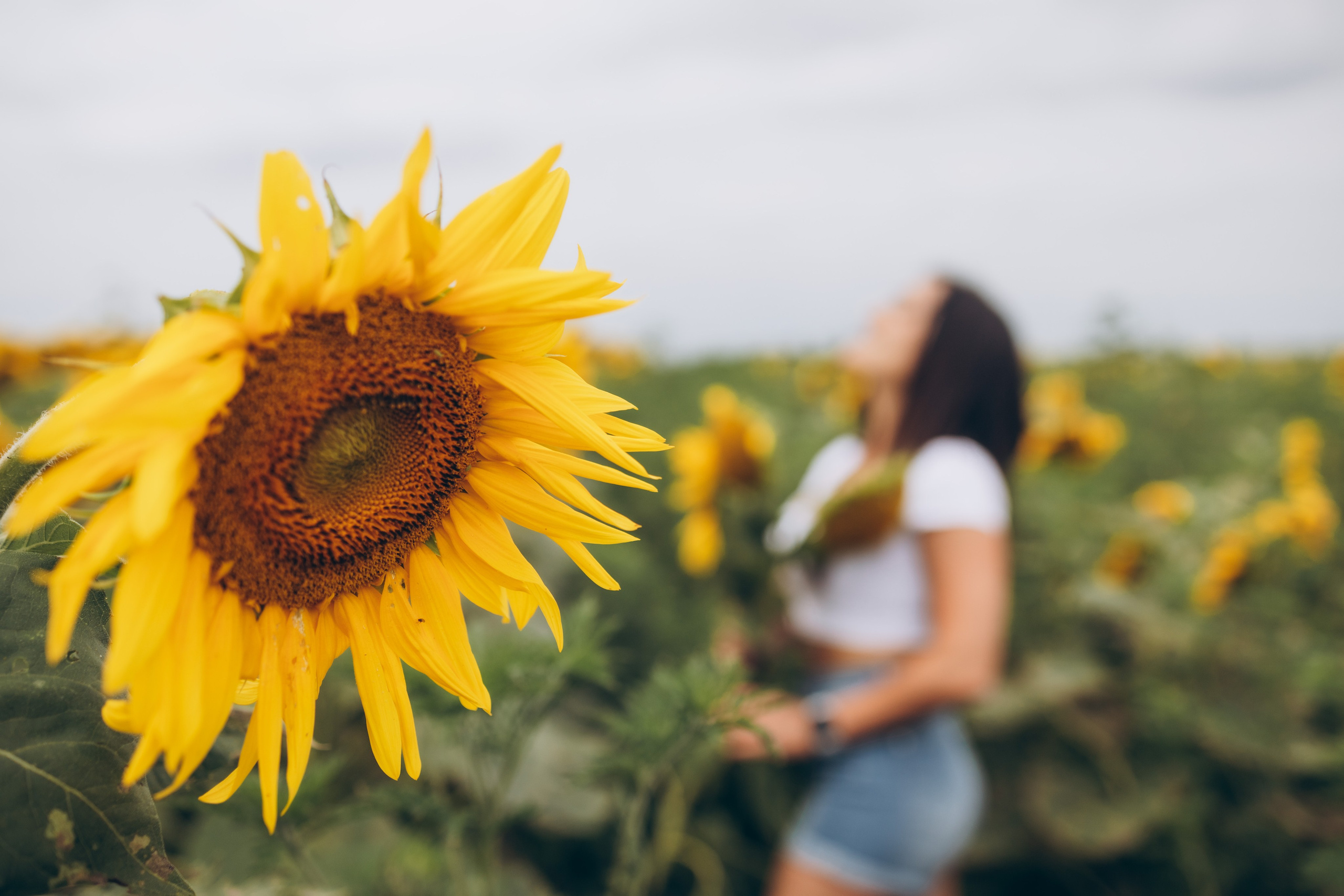 Лето. Профессиональный фотограф и видеооператор