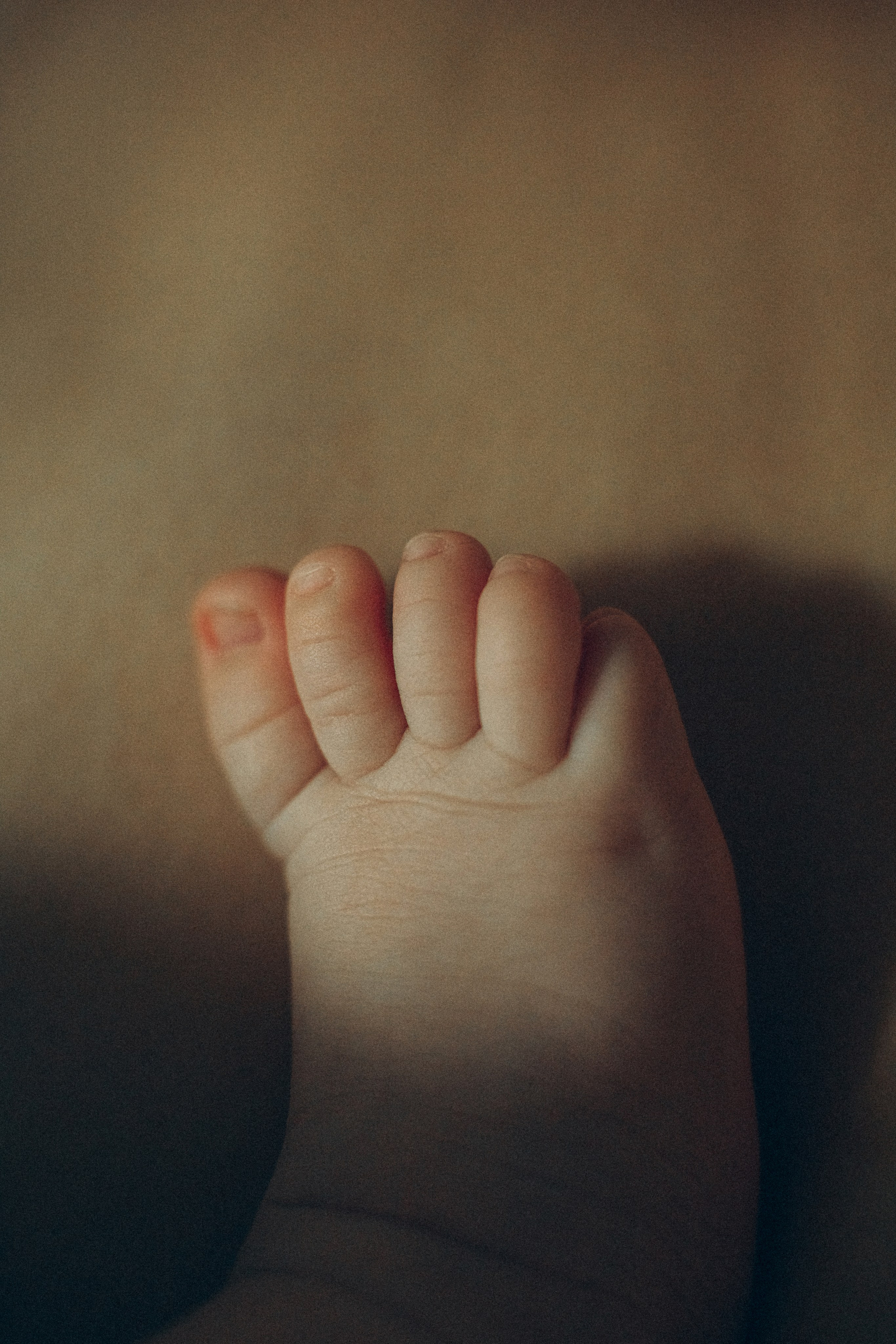 Дана Нелла. Семейный фотограф в Минске и РБ Стеликова Анна