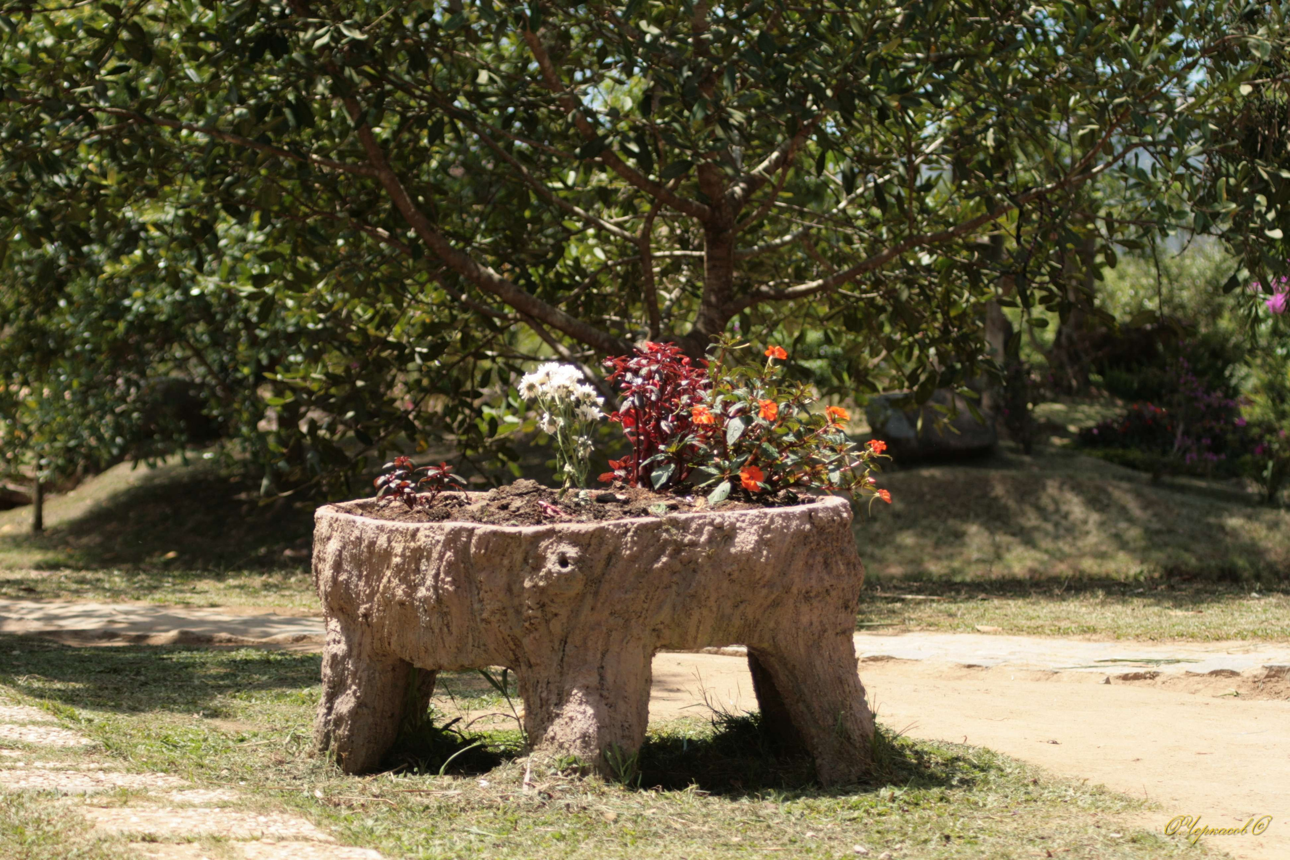 Вьетнам 2008 г. Улица, люди, жизнь…