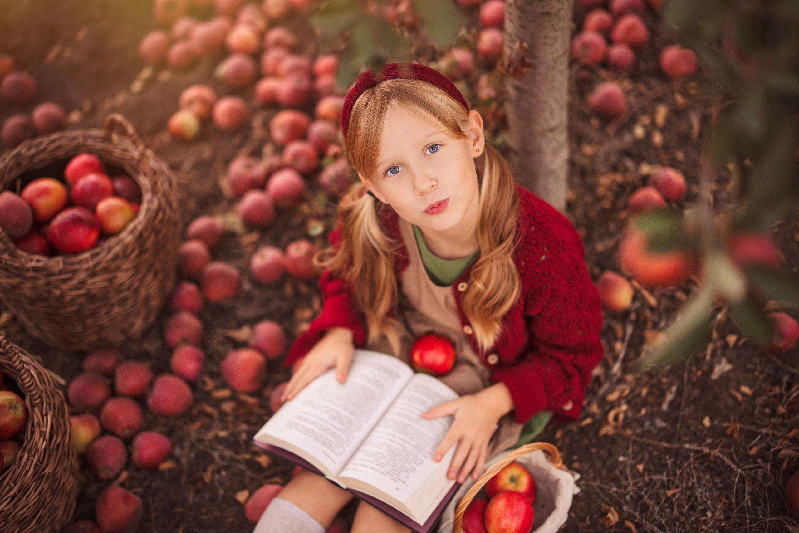 Сбор урожая Яблок. Семейный и детский фотограф в Краснодаре Анна Трашкова