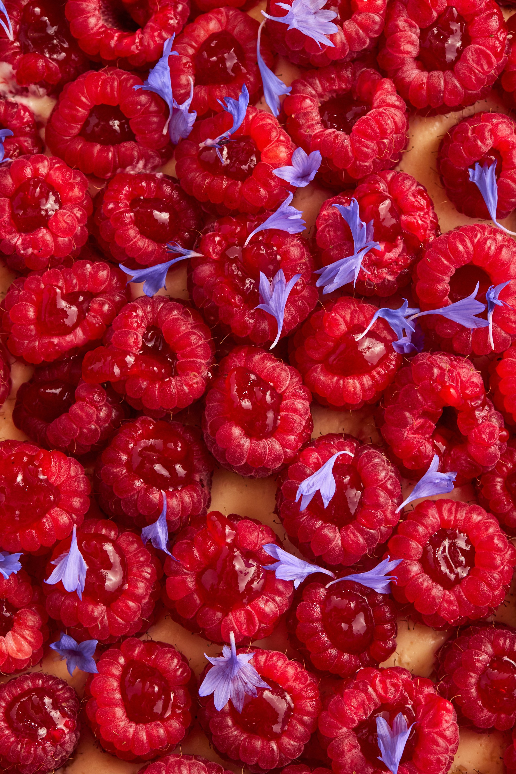 РЕСТОРАНЫ. Контент фотограф в Москве Ник Фрост