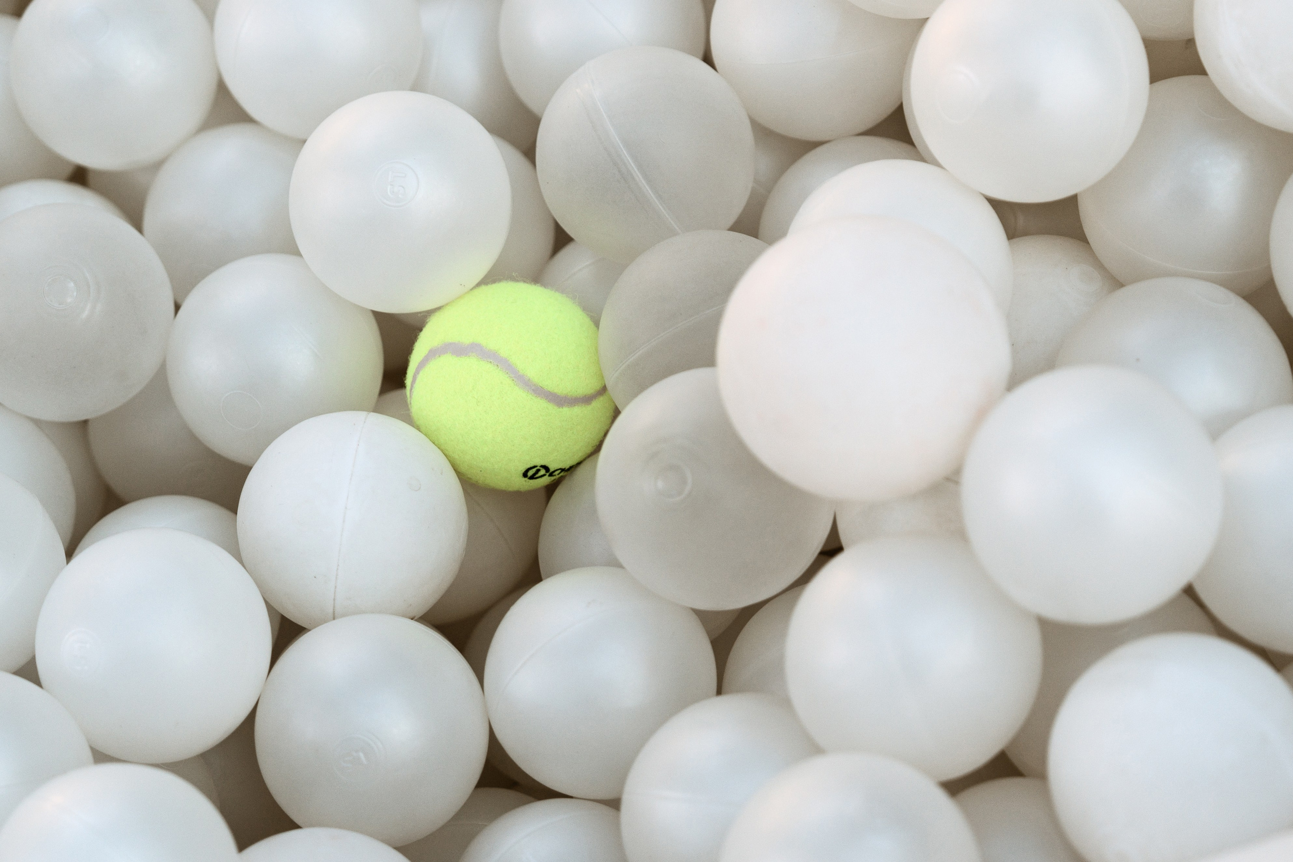 A&Y. Фотограф Москва. Екатерина Дударевич