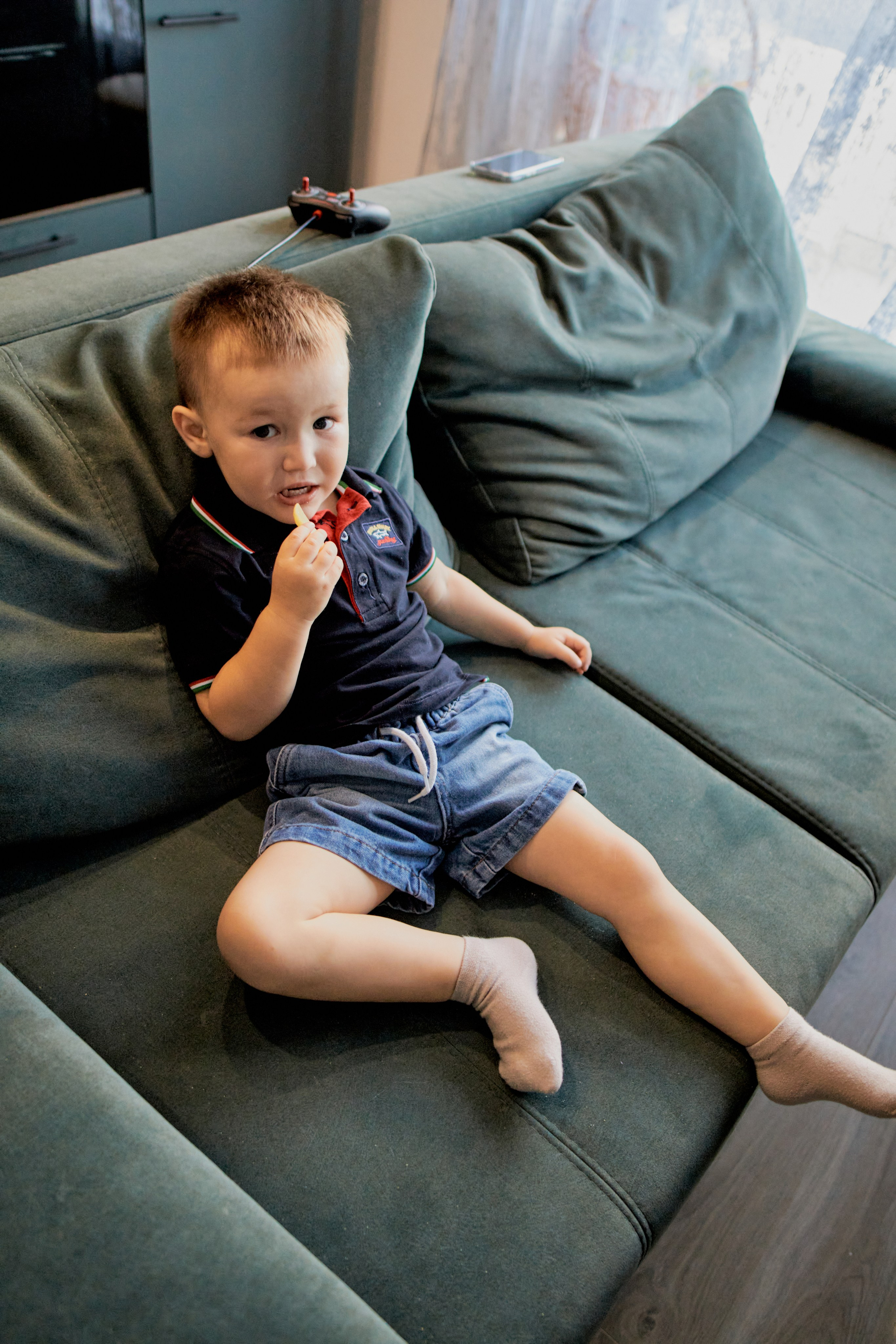 Три кота. Фотограф Москва