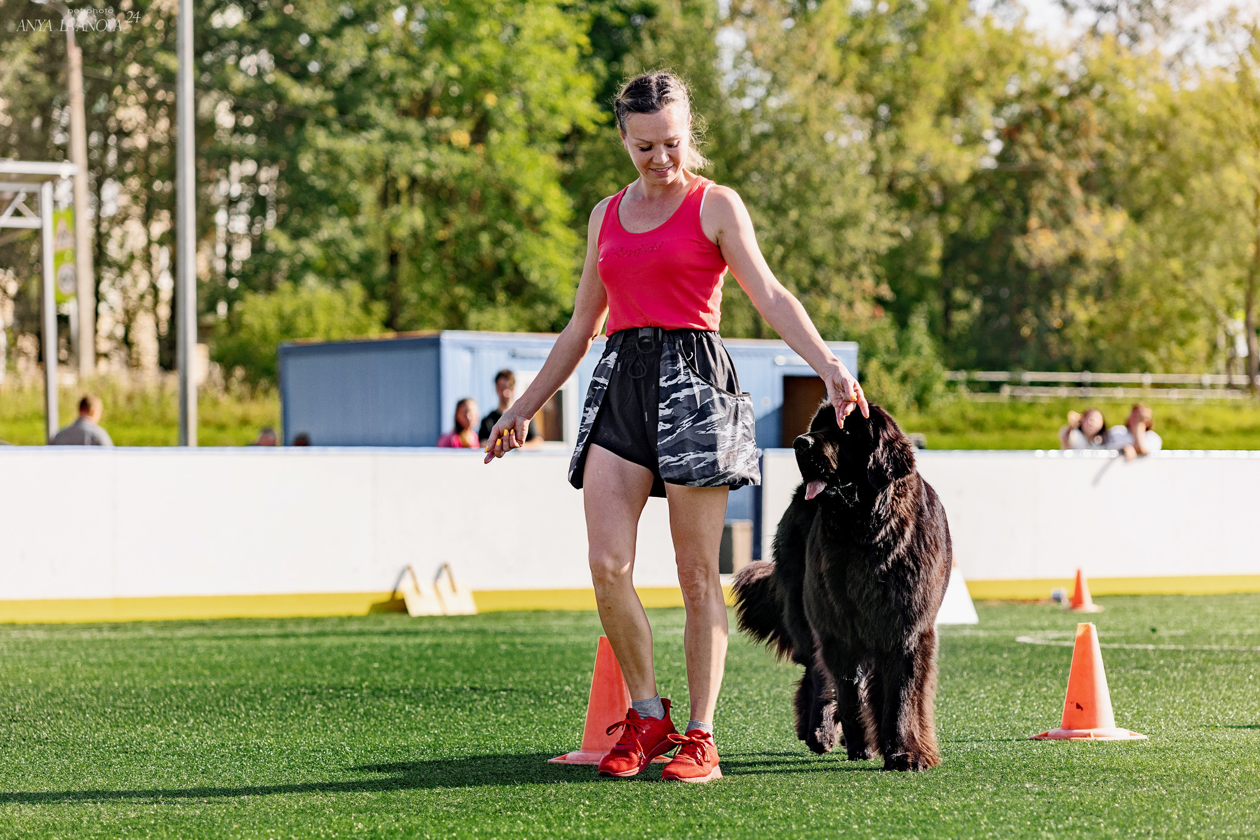 Ралли обидиенс. Фотограф анималист Аня Ливанова | Рыбинск