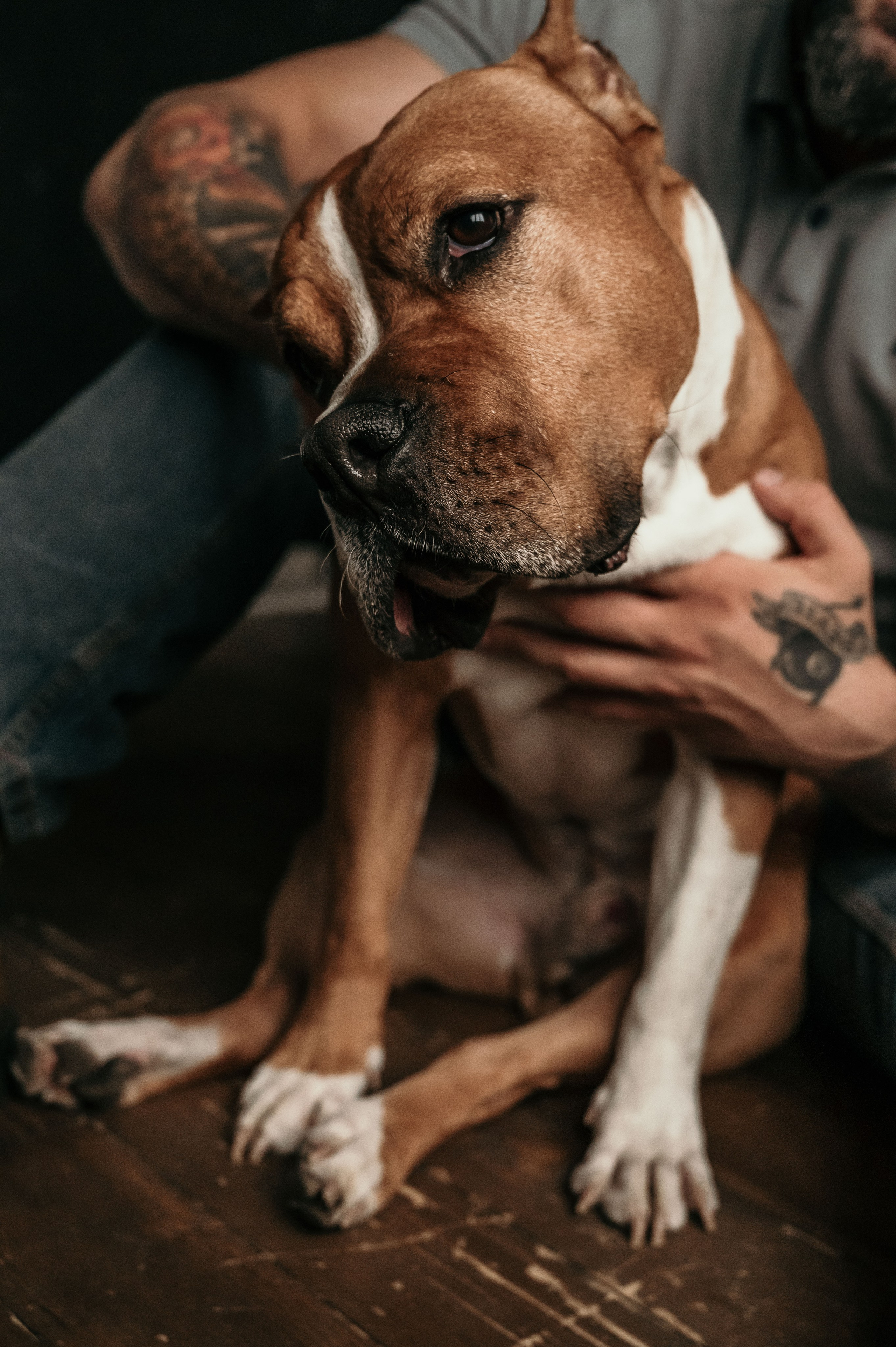 Мужской фотограф. Профессиональный фотограф беременности в СПБ. Стильные фотосессии беременности в стиле минимализм и классическая фотография