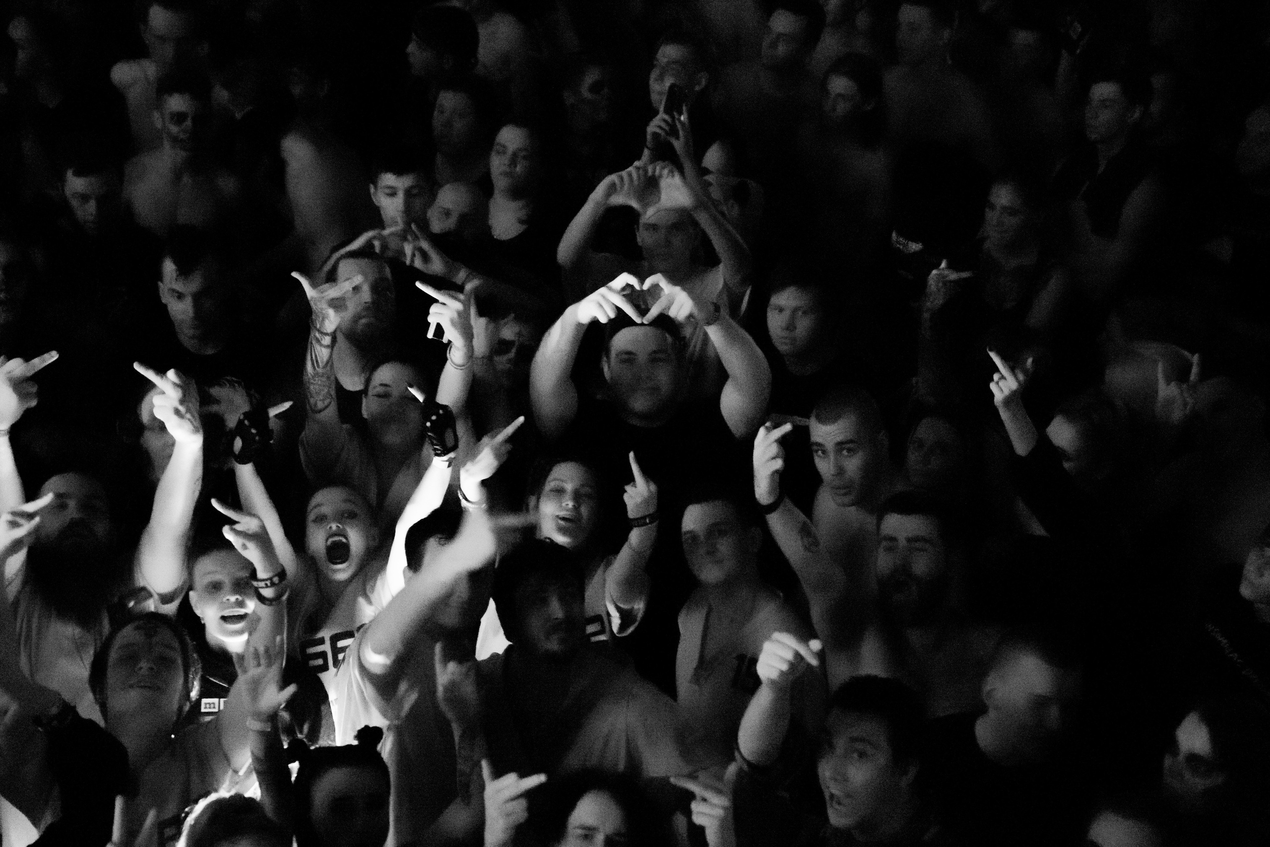 2r2r (2024). Фотограф Алексей Шуля — портфолио