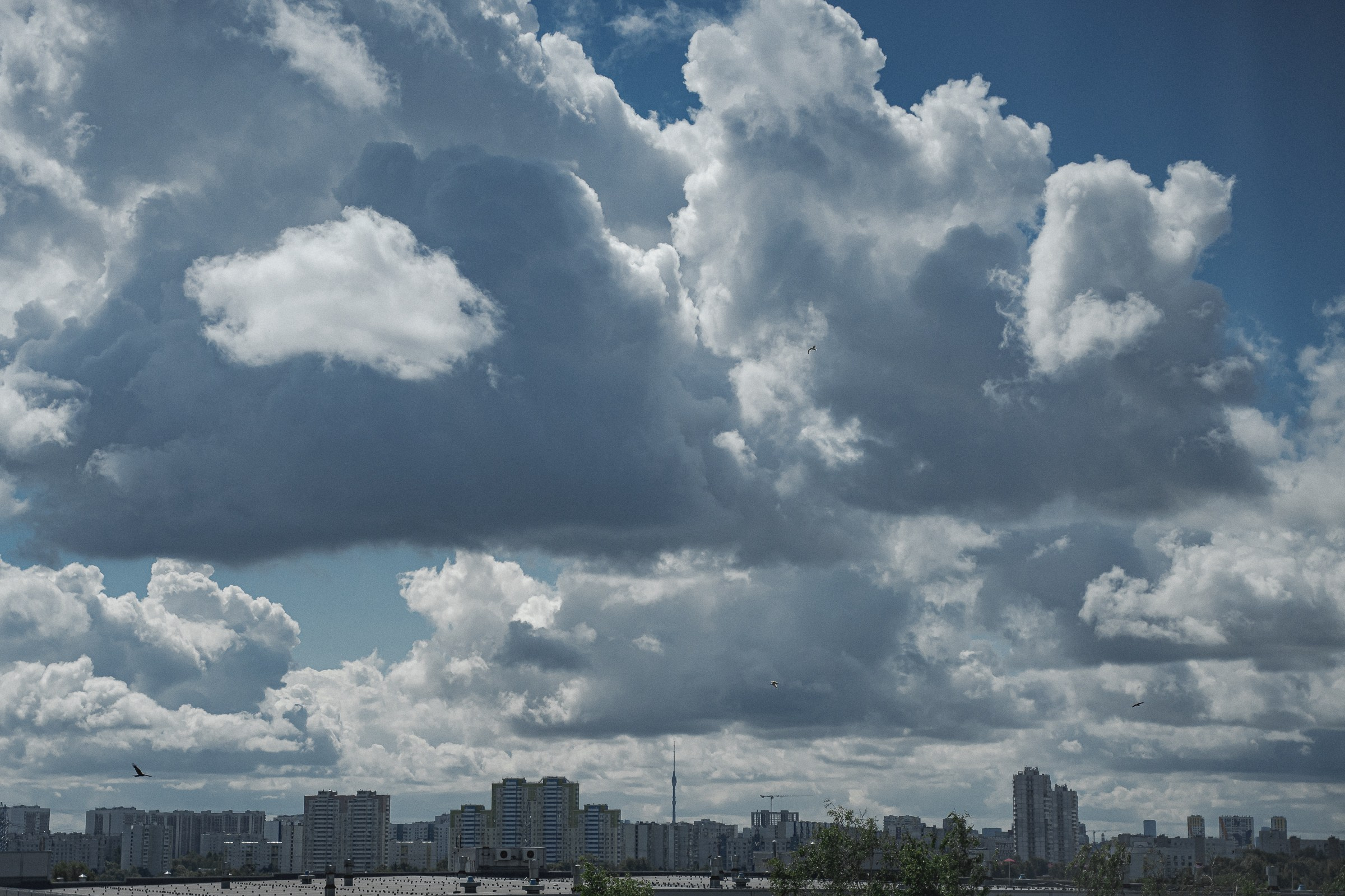 Иван и Вероника. Свадебный фотограф Александр Осипов