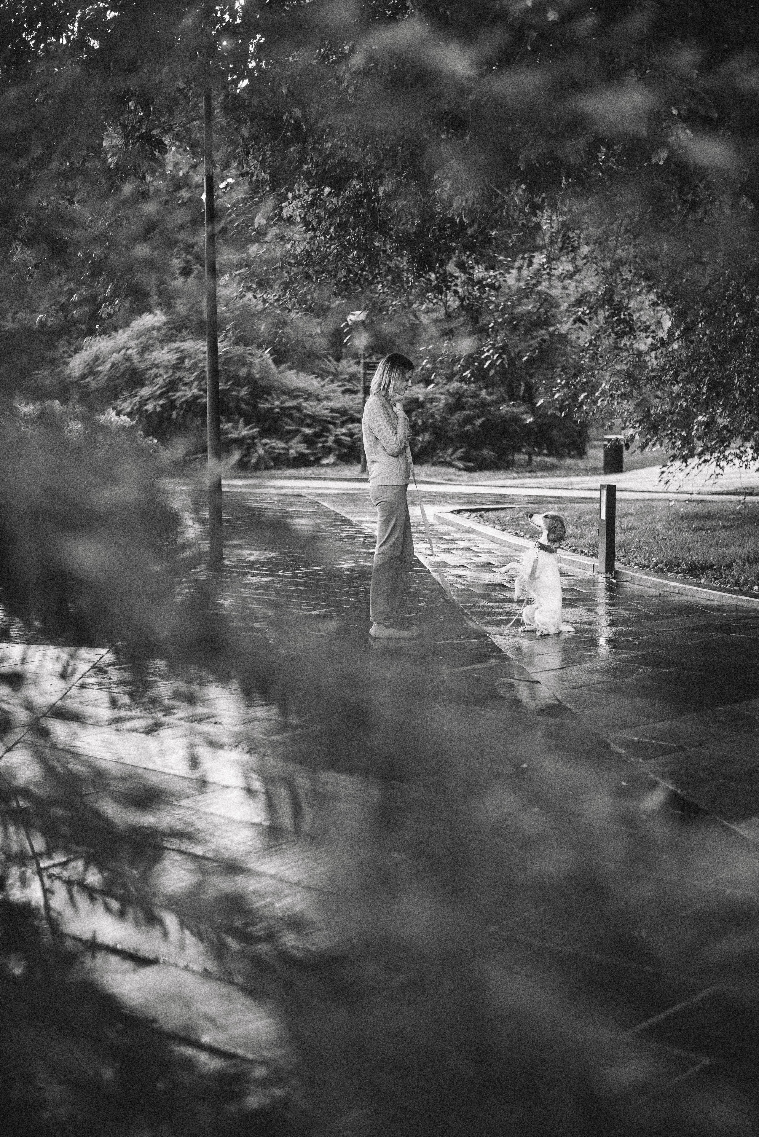 Маша и Вега. Фотограф-анималист Богданова Полина