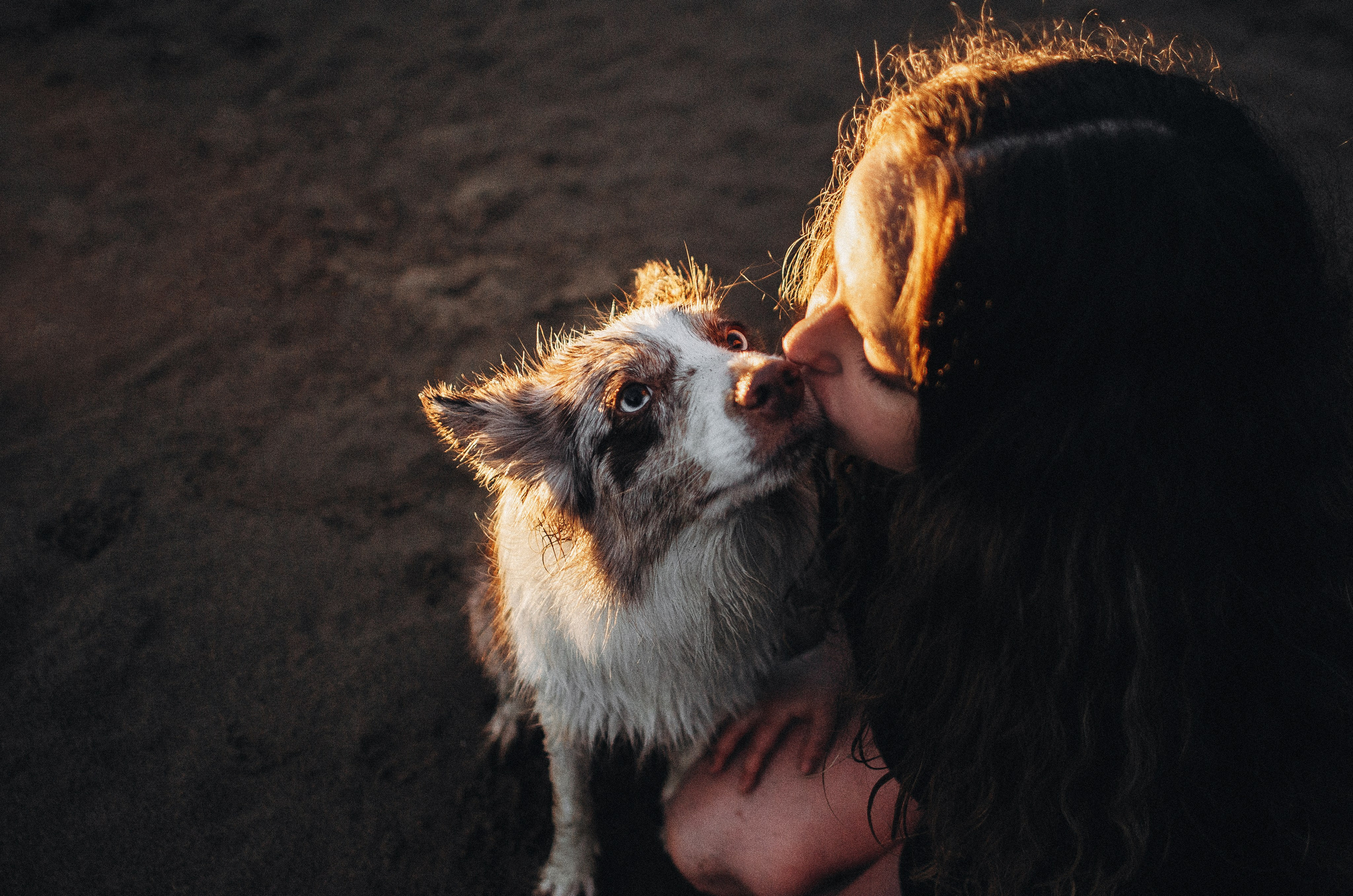 Алина и Бруна. Фотограф-анималист Богданова Полина