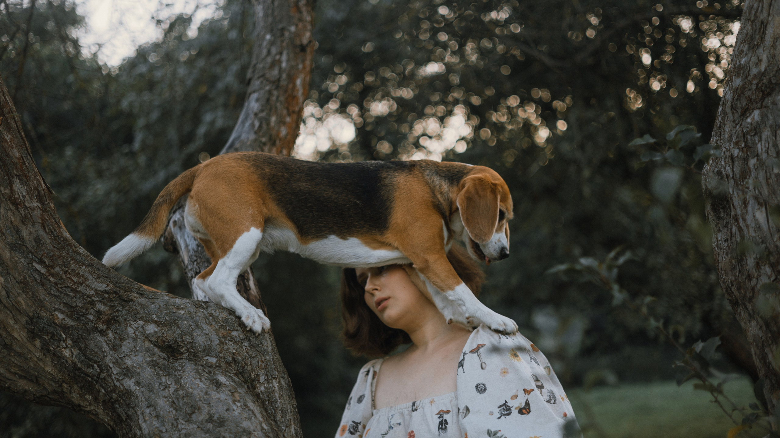 Лиза и Сара. Фотограф-анималист Богданова Полина