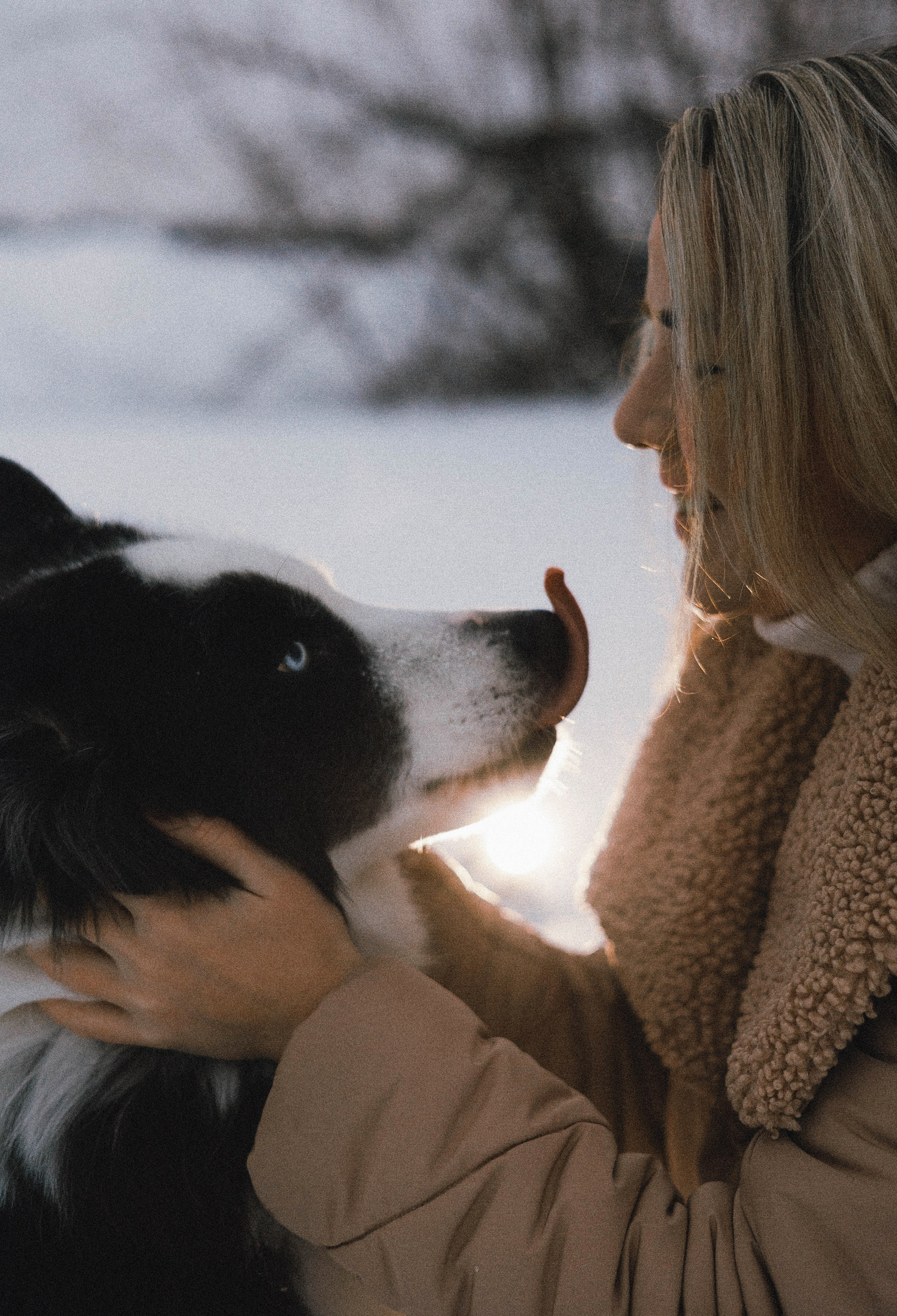 Анна и Тео. Фотограф-анималист Богданова Полина