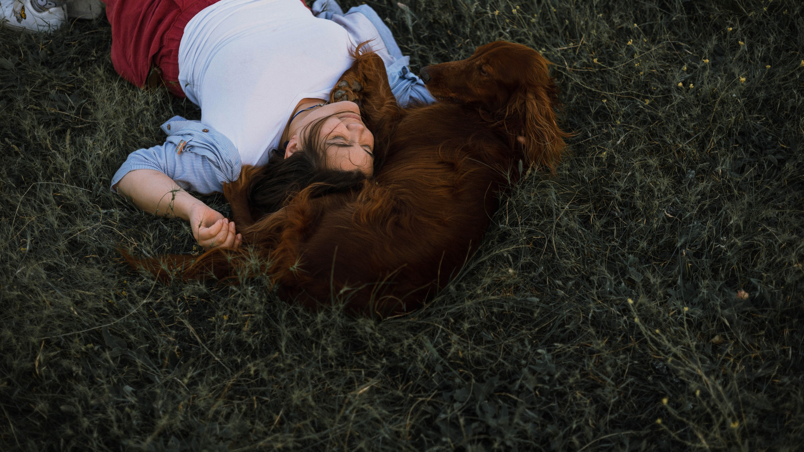 Ольга и Шеймас. Фотограф-анималист Богданова Полина
