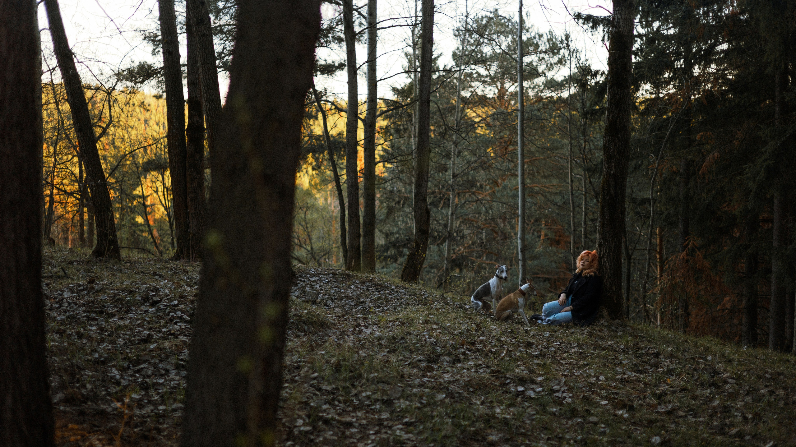 Вика, Джем и Белла. Фотограф-анималист Богданова Полина
