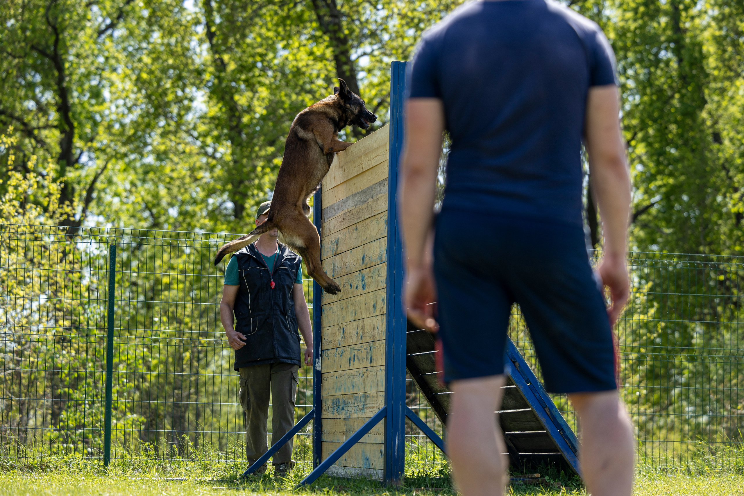 Испытания по мондьорингу в Нижнем Новгороде. Фотограф-анималист Анна Маринич
