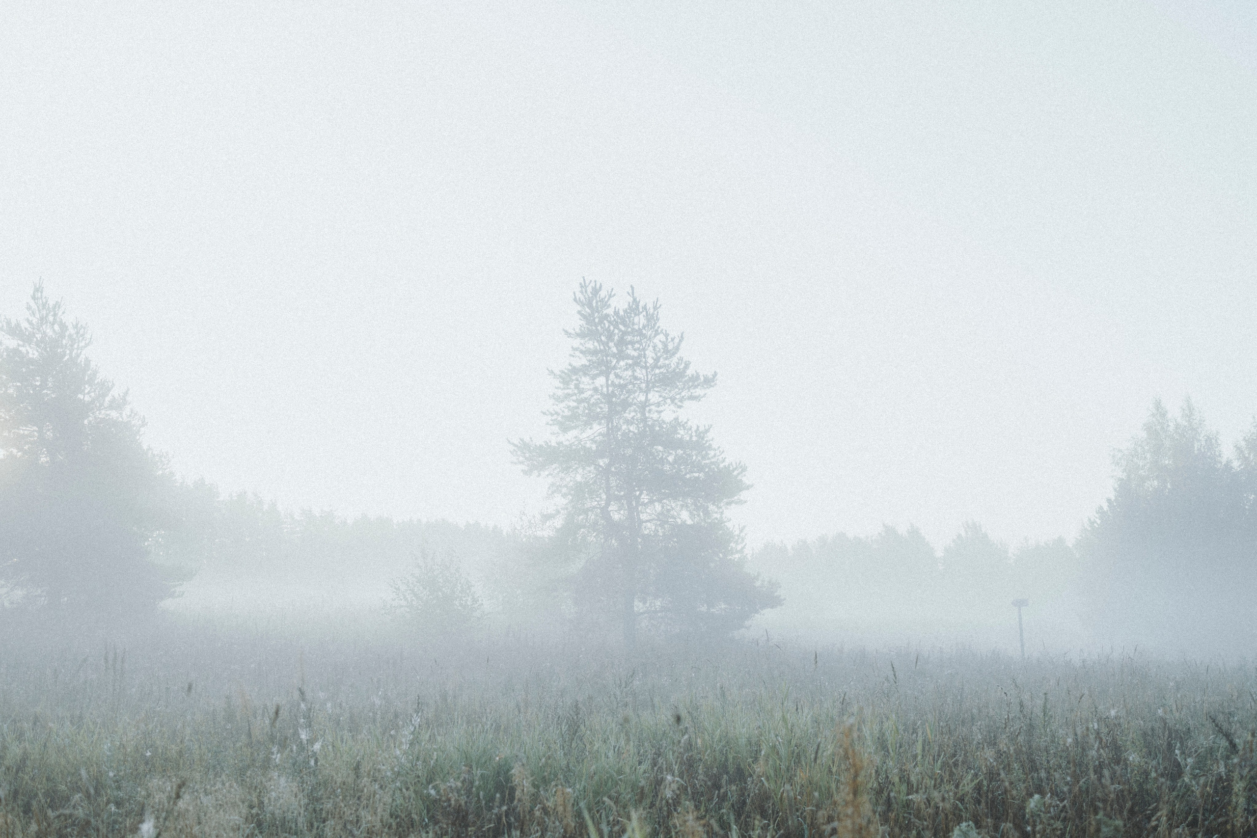 Света и Ричик. Фотограф-анималист Анна Маринич