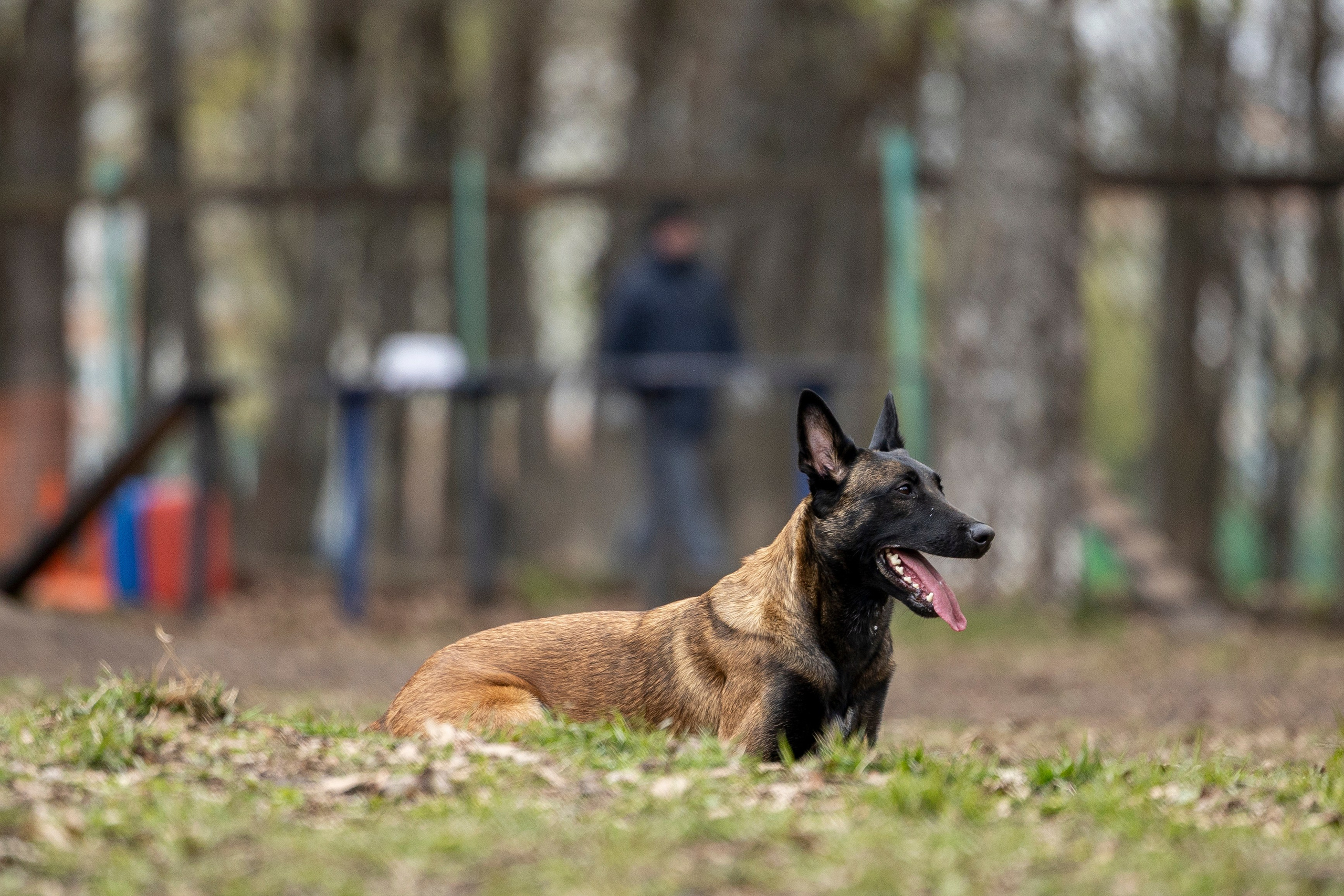 Квалификационные состязания по мондьорингу г. Вологда 11.05.24. Фотограф-анималист Анна Маринич