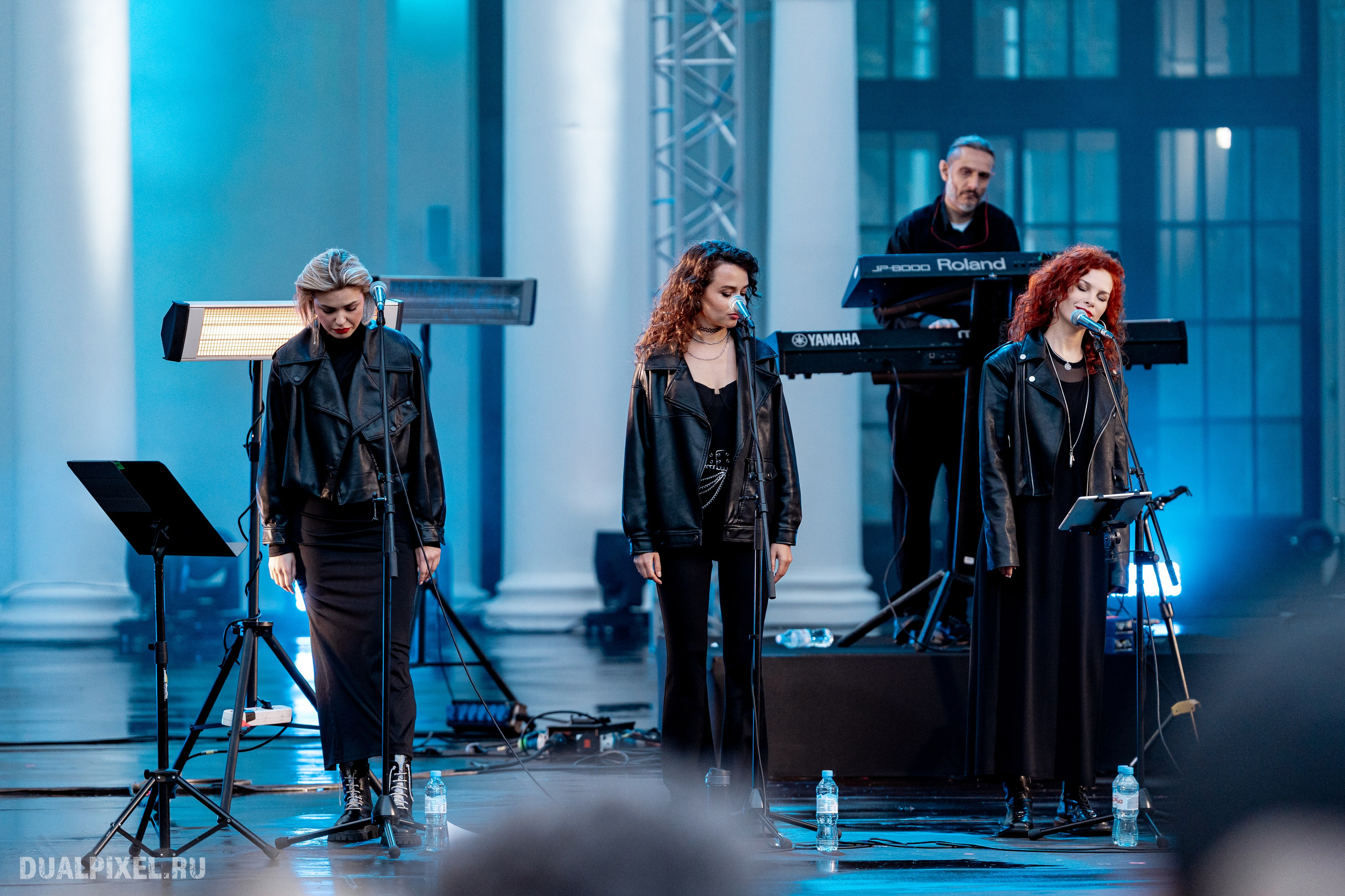 Владимир Пресняков. Магия музыки в кадре: Концертная Фотография