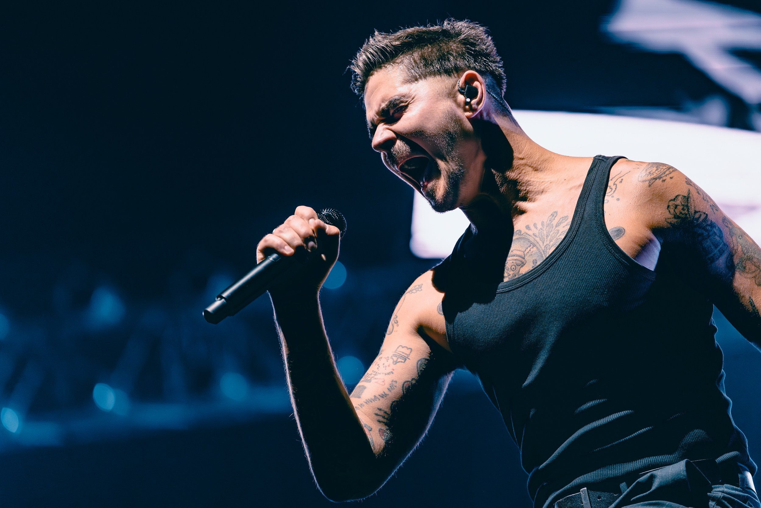 The Hatters. Магия музыки в кадре: Концертная Фотография