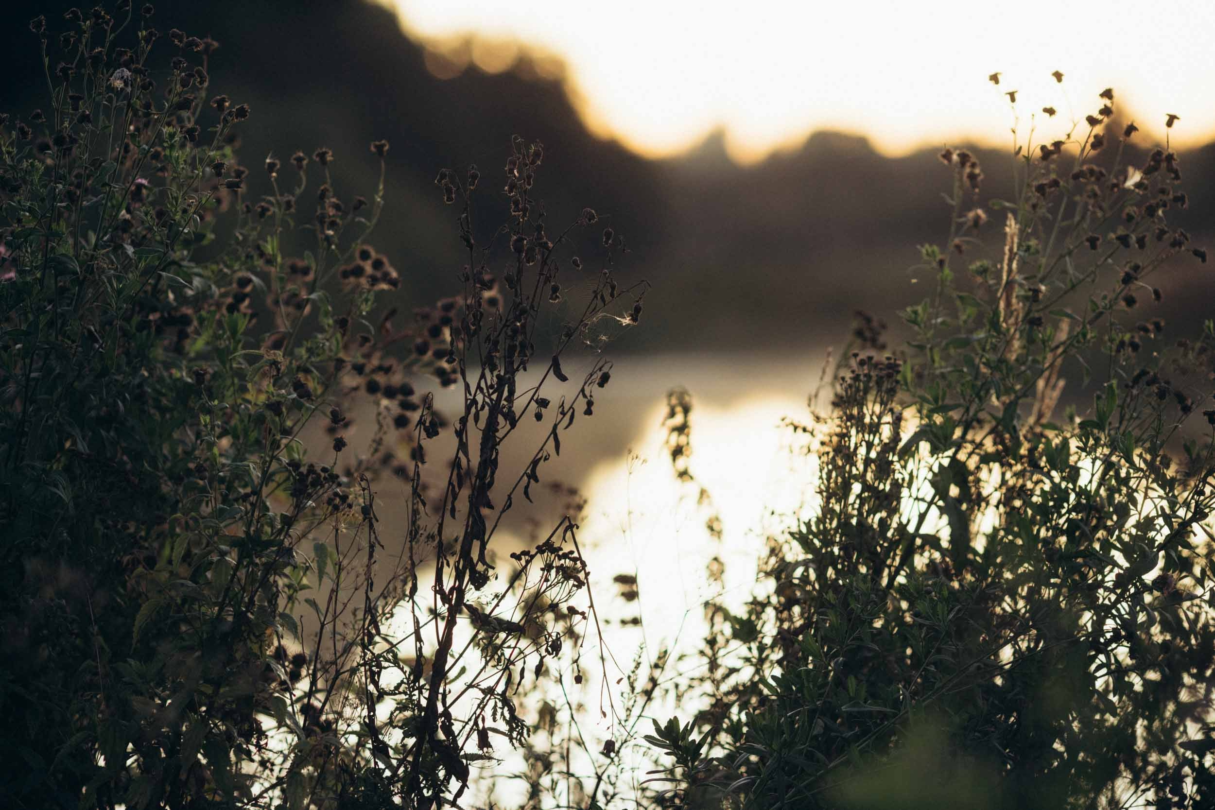 Природные пейзажи. Наталия Клевинскас портретный фотограф в Костроме