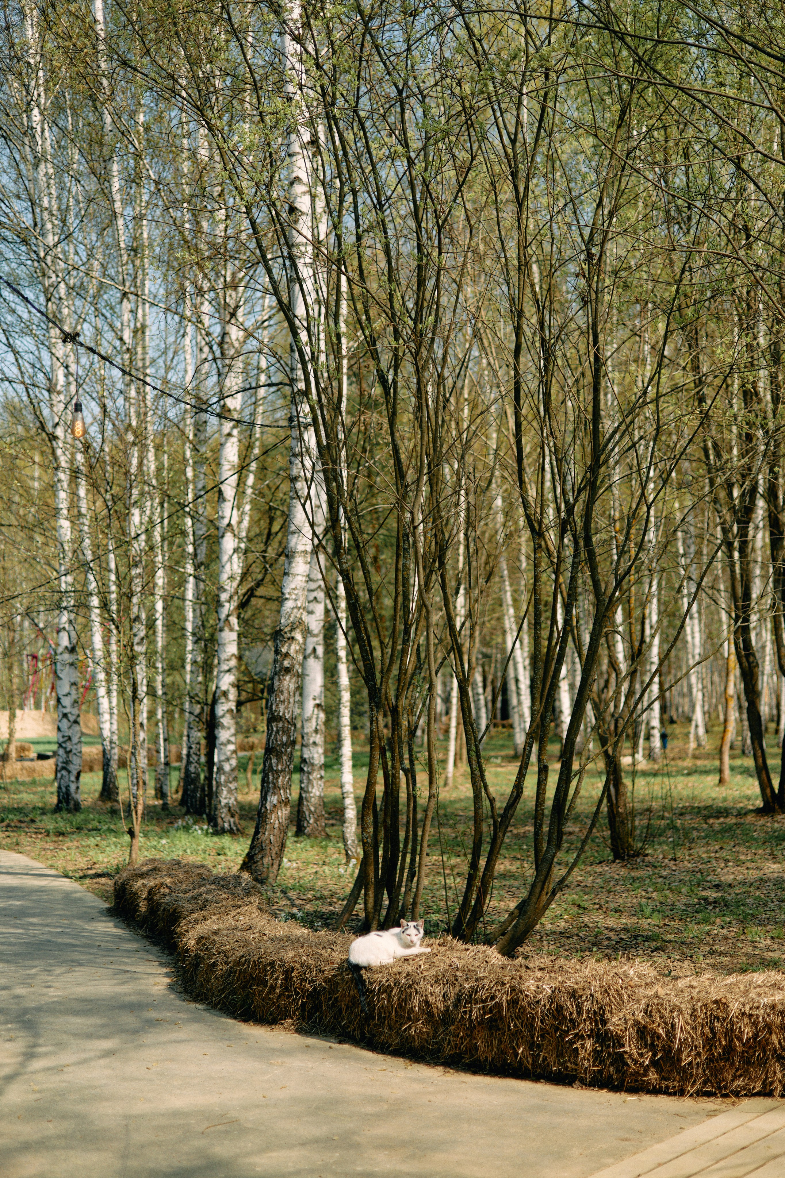 Бутик-отель Поле летом. Профессиональный Фотограф во Владимире, в Москве и в Суздале — Полина Романычева